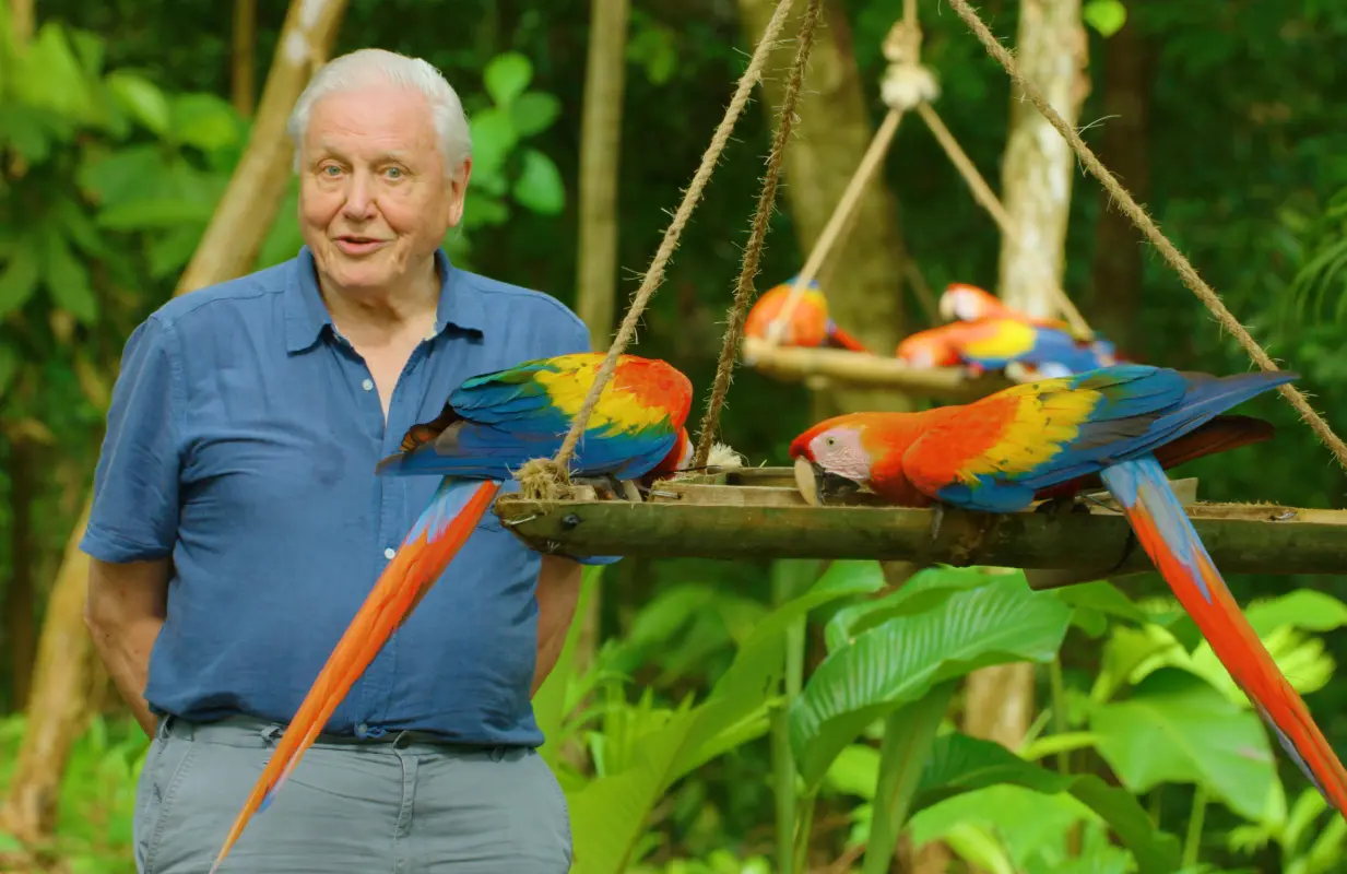 Sir David Attenborough in his new series Life in Color. (Photo: Netflix)