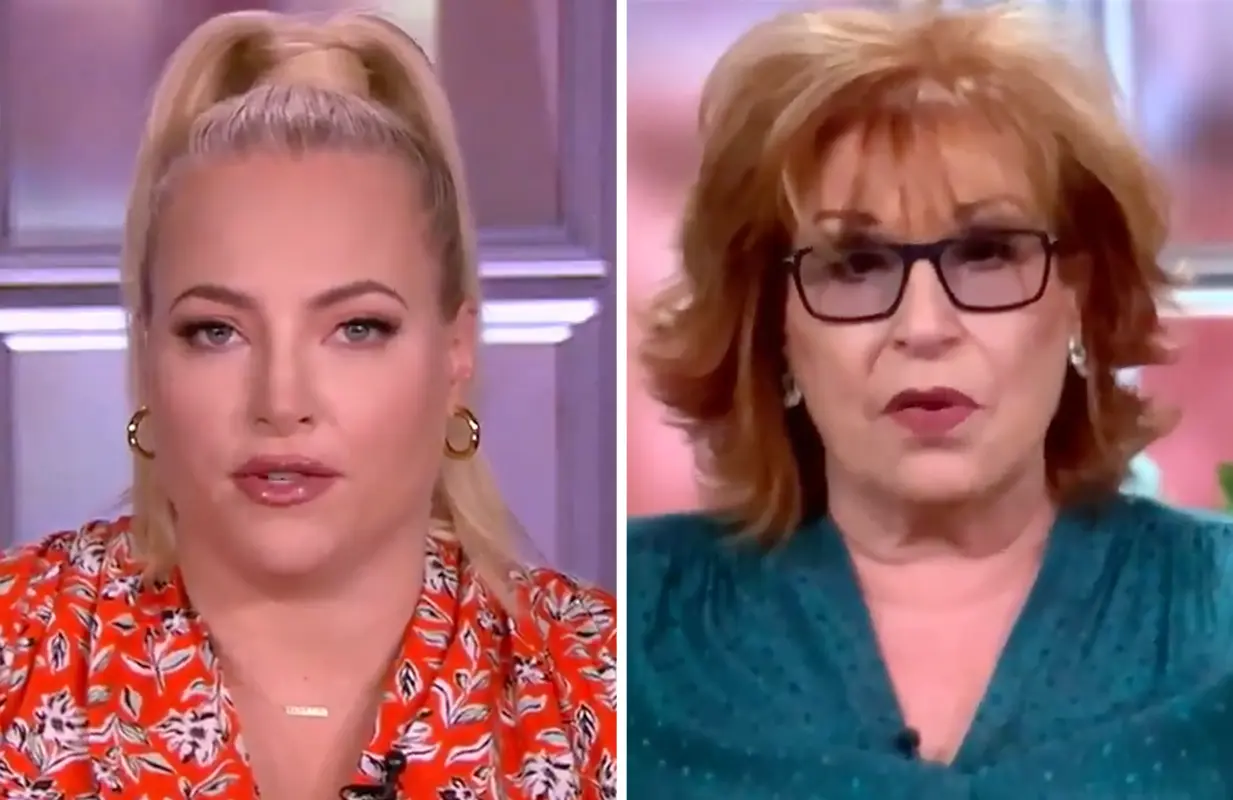 Meghan McCain and Joy Behar are enjoying their final few weeks of feuding on The View. (Photos: ABC)