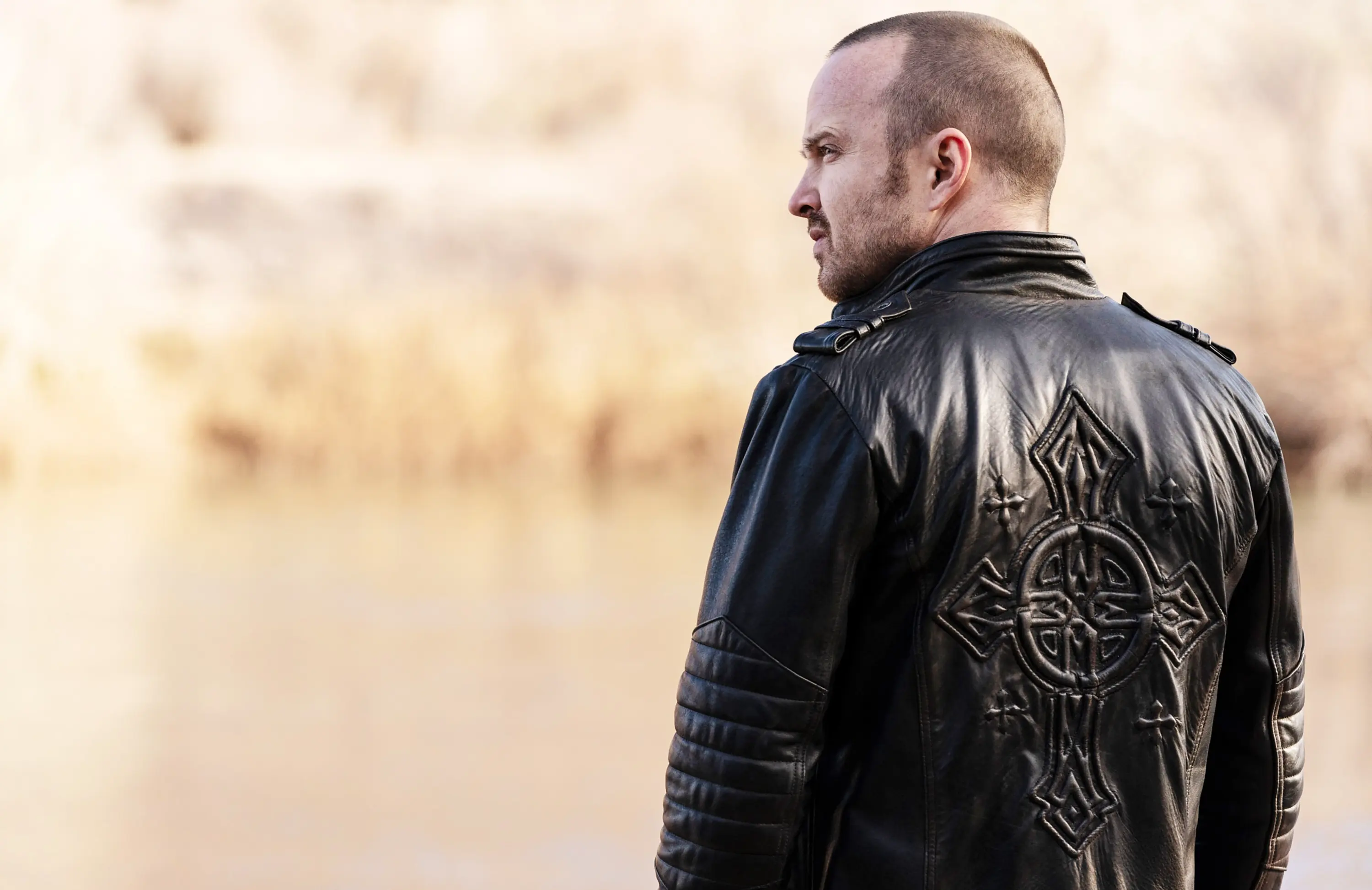EL CAMINO: A BREAKING BAD MOVIE, Aaron Paul, 2019. ph: Ben Rothstein / © Netflix / courtesy Everett Collection
