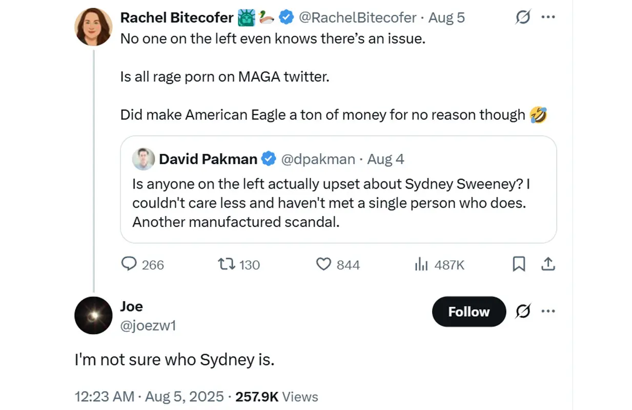 Comments seen on X (Image via X/ @RachelBitecofer, @dpakman, @joezw1)