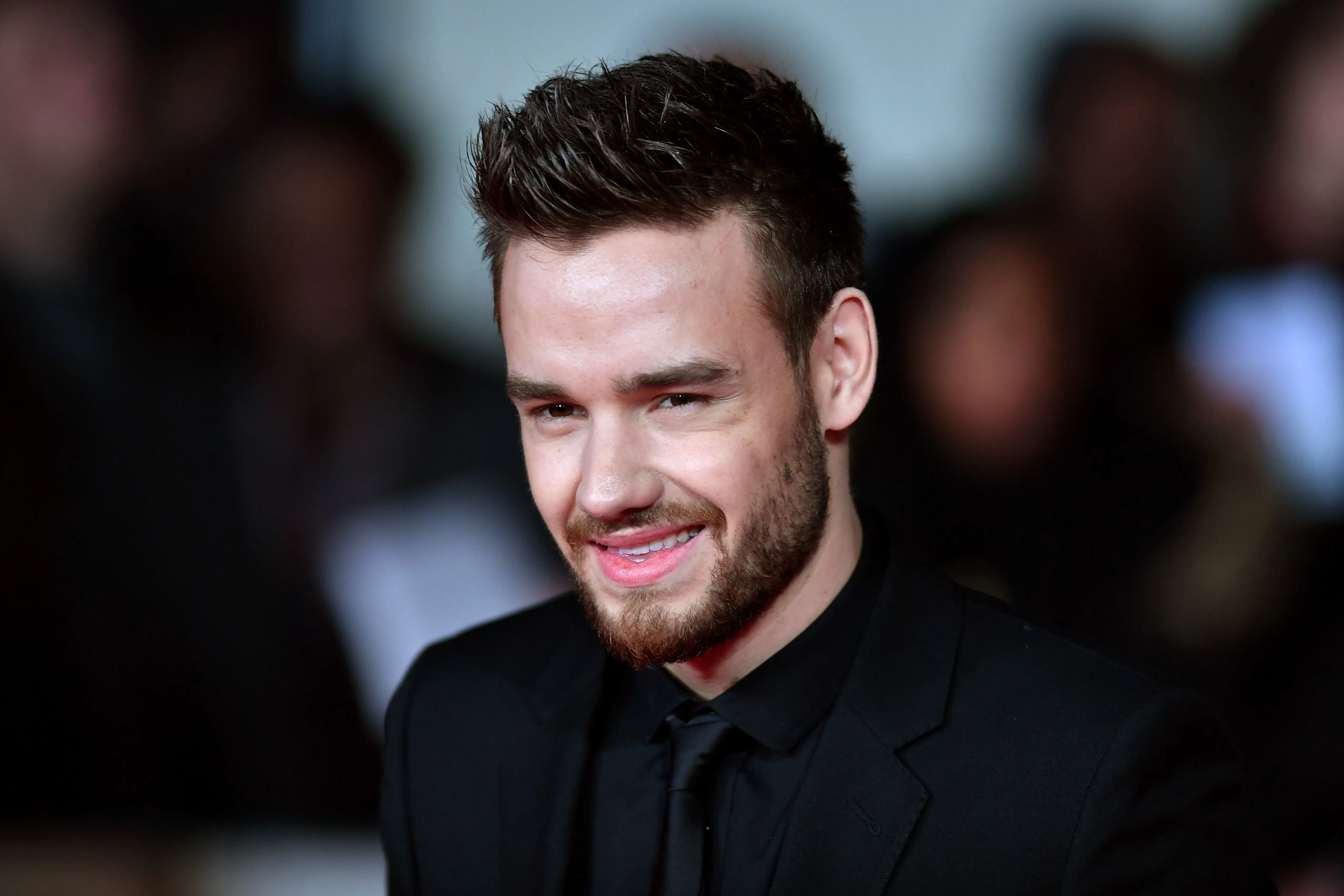 Building the Band judge Liam Payne (Image via Getty)