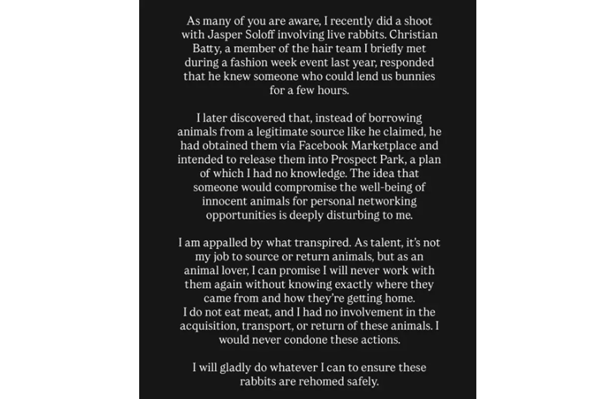 Anna's story on IG (Image via Instagram/ @theannadelvey)