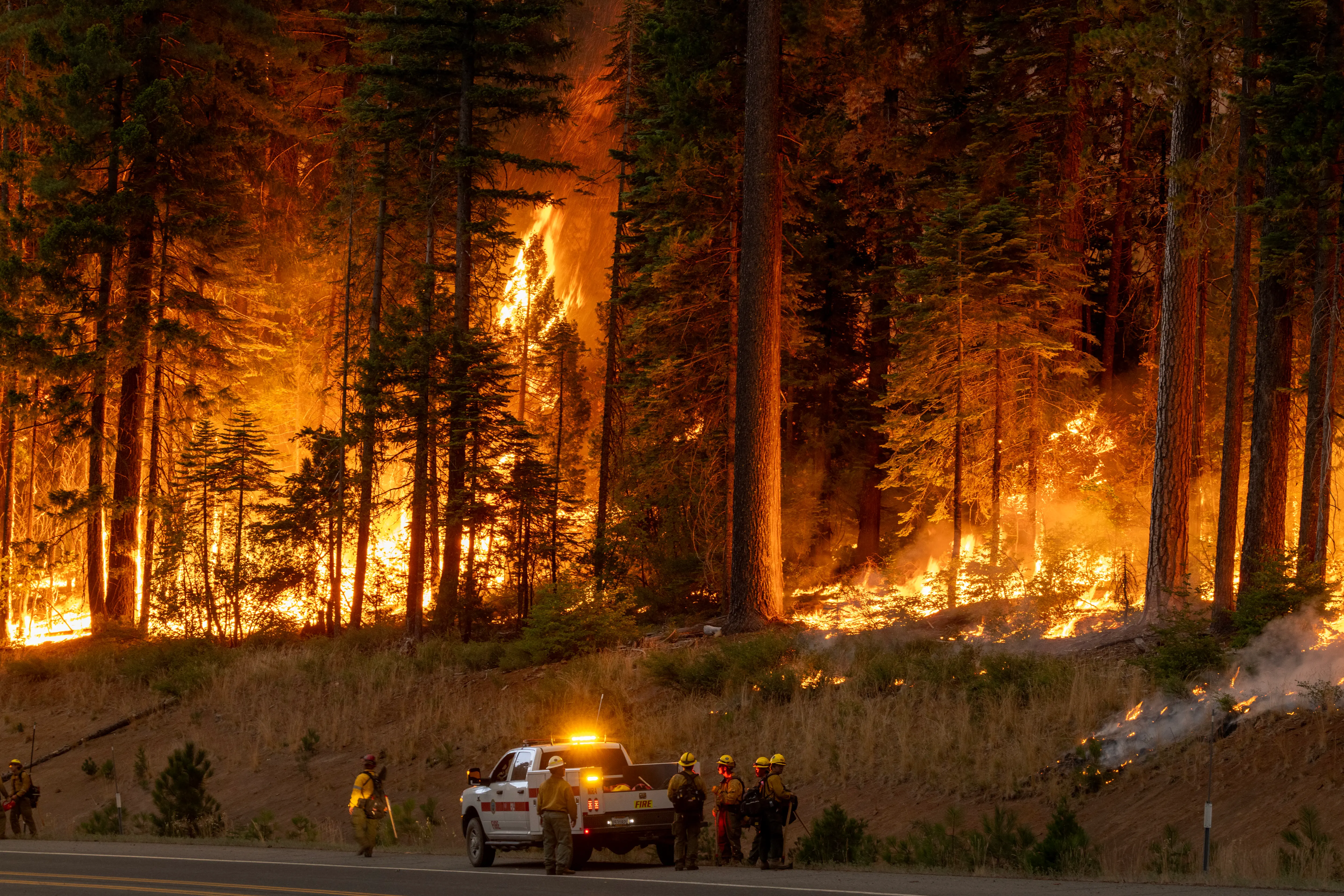 wildfire (Photo by David McNew/Getty Images)
