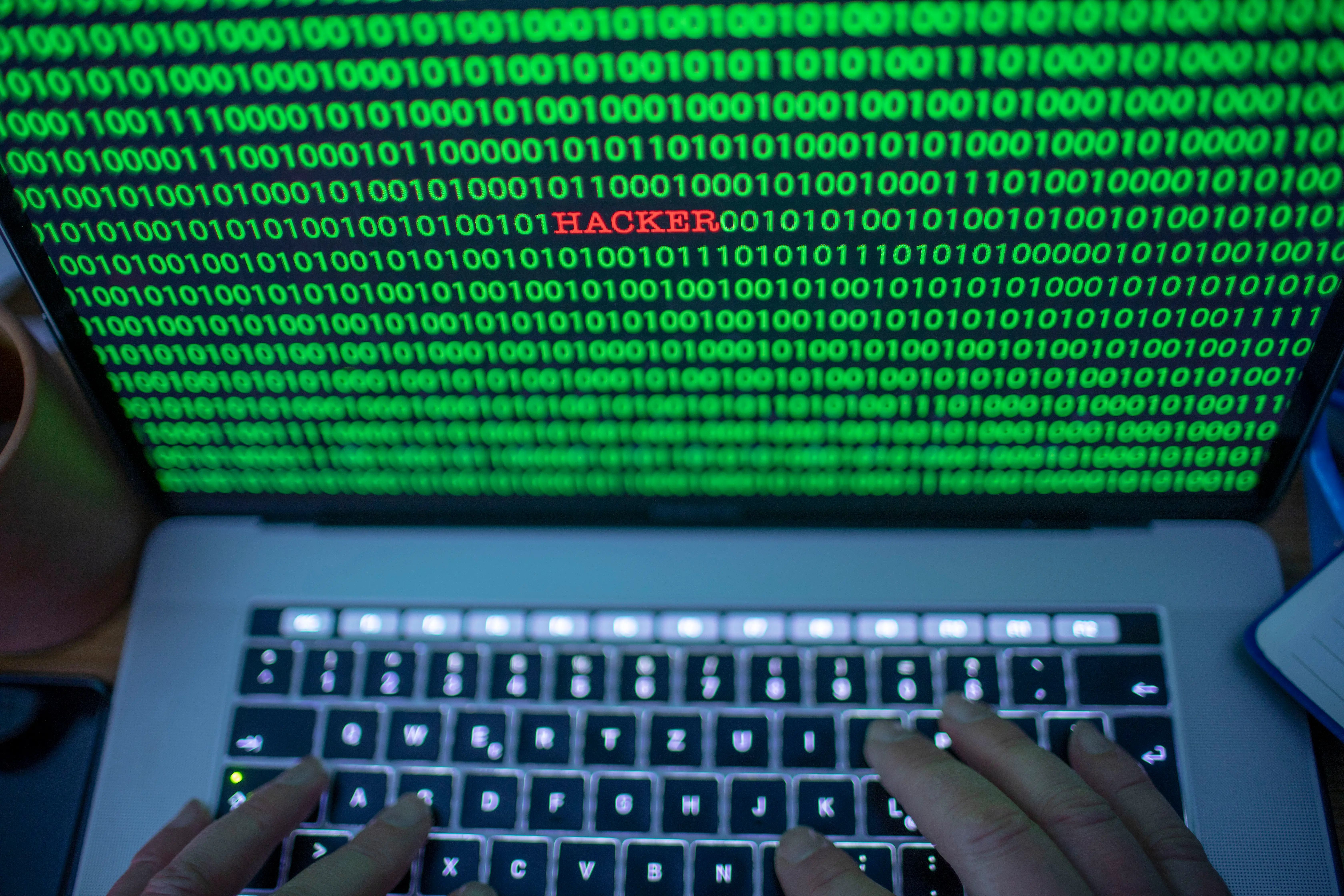 Noah Urban was allegedly involved in phishing incidents that happened between 2022 and 2023 (Image via Getty)