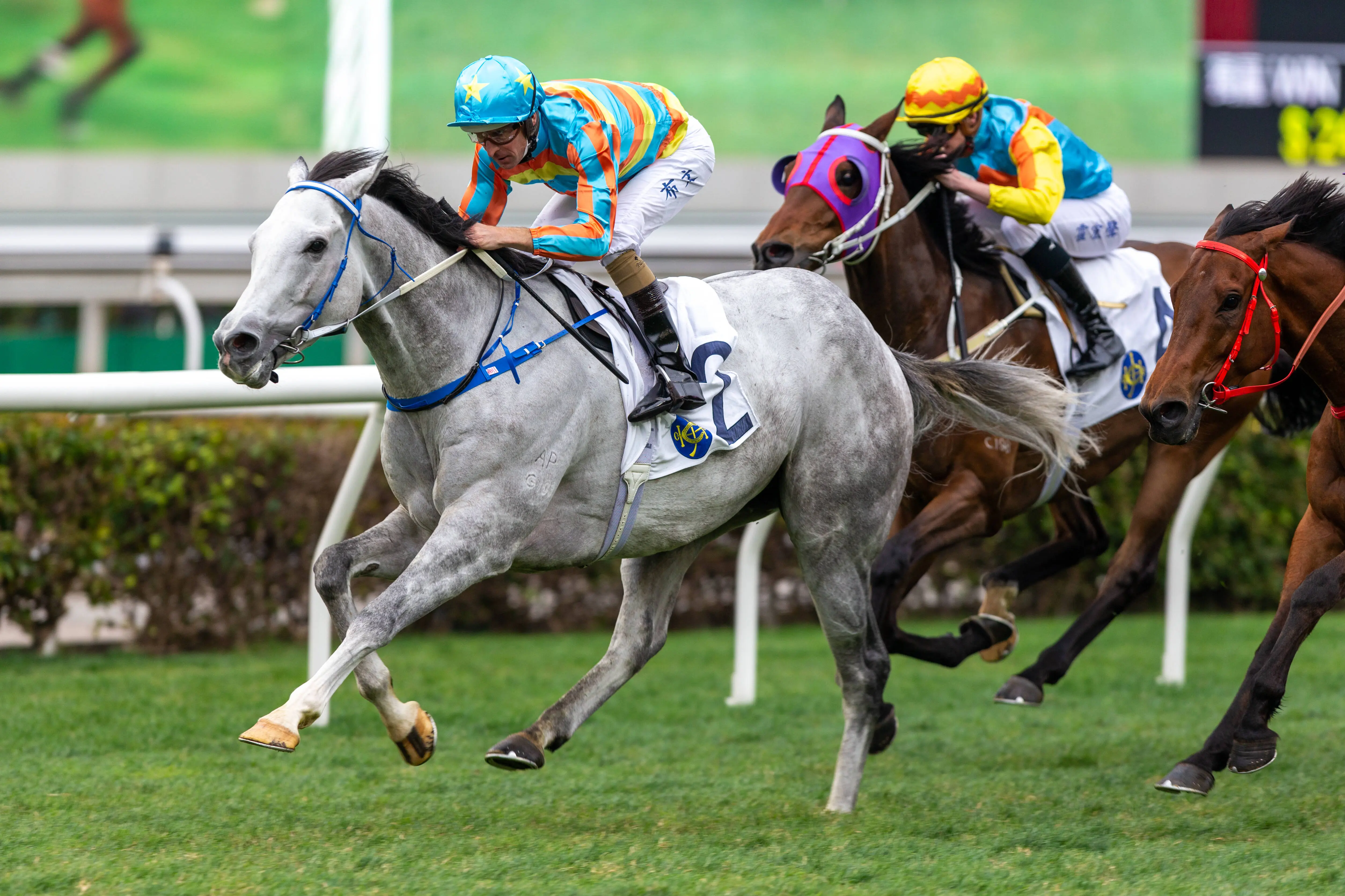 HONG KONG, CHINA - February 5 : Jockey Hugh Bowman riding Senor Toba wins the Race 7 Centenary Vase (G3 1800m) at Sha Tin Racecourse on February 5, 2023 in Hong Kong. (Photo by Lo Chun Kit /Getty Images)