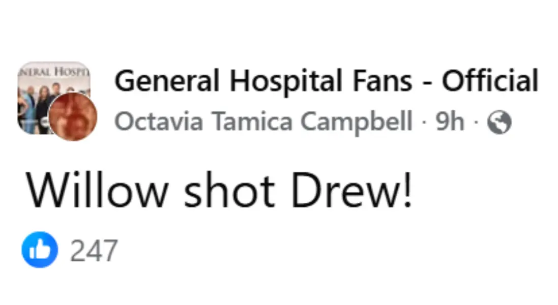 The original post by a fan about Willow's actions