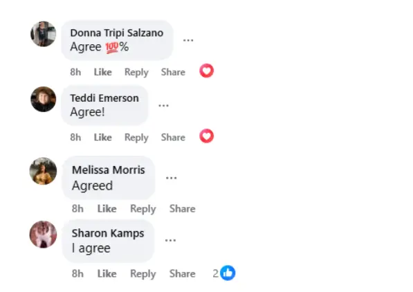 Comments by other fans (Image via Facebook/ @General Hospital Fans - Official)