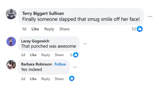 Comment by other fans (Image via Facebook/@The Bold and the Beautiful)