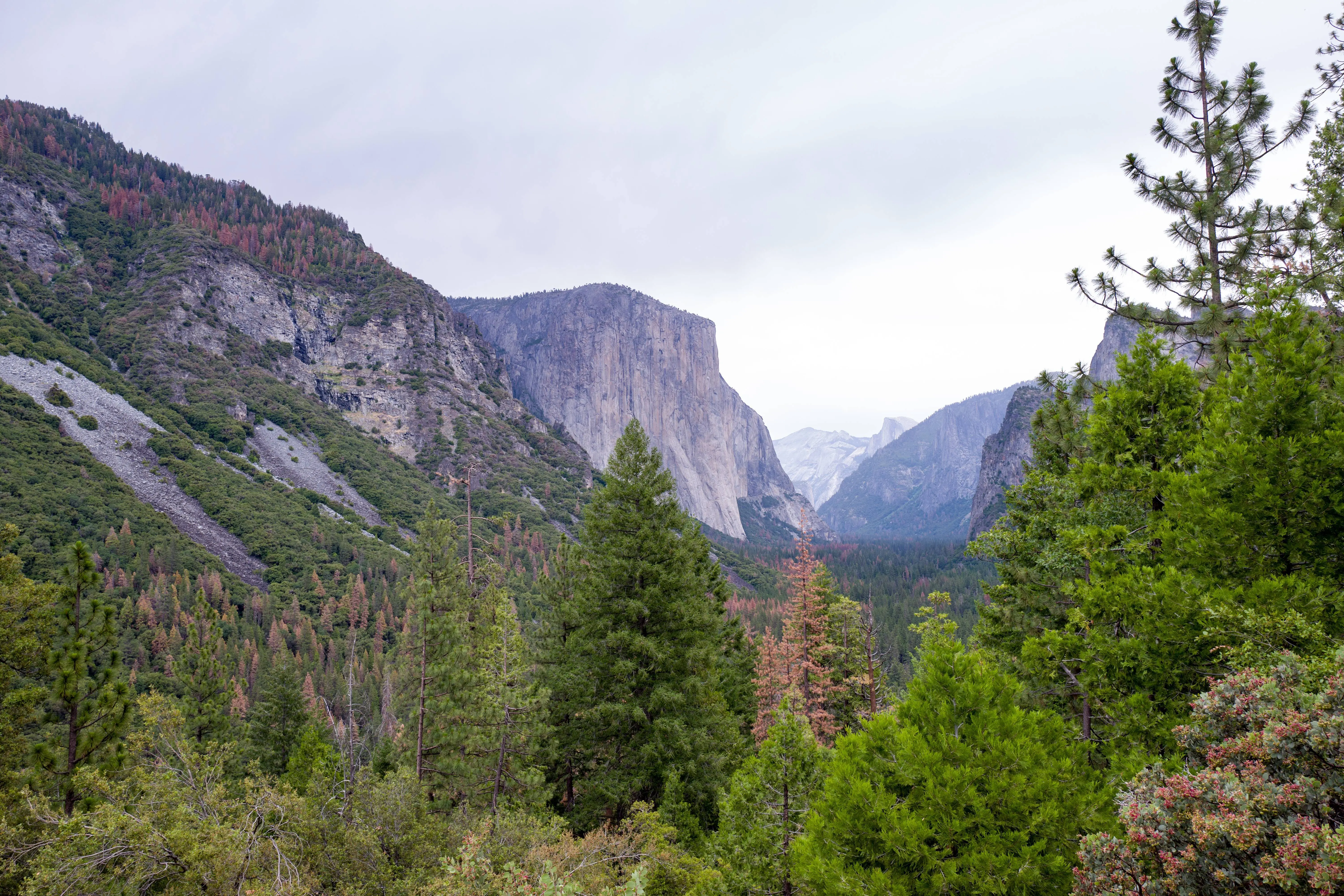 Balin Miller died while climbing up El Capitan at Yosemite National Park on October 1 (Photo by Smith Collection/Gado/Getty Images).
