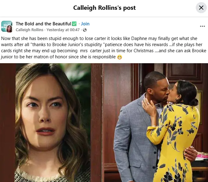 The original post (Image via Facebook/ @The Bold and the Beautiful)