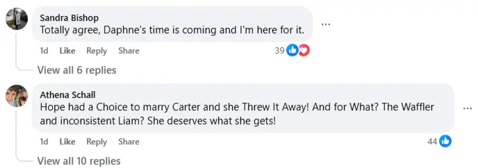 Comments by fans (Image via Facebook/ @The Bold and the Beautiful)