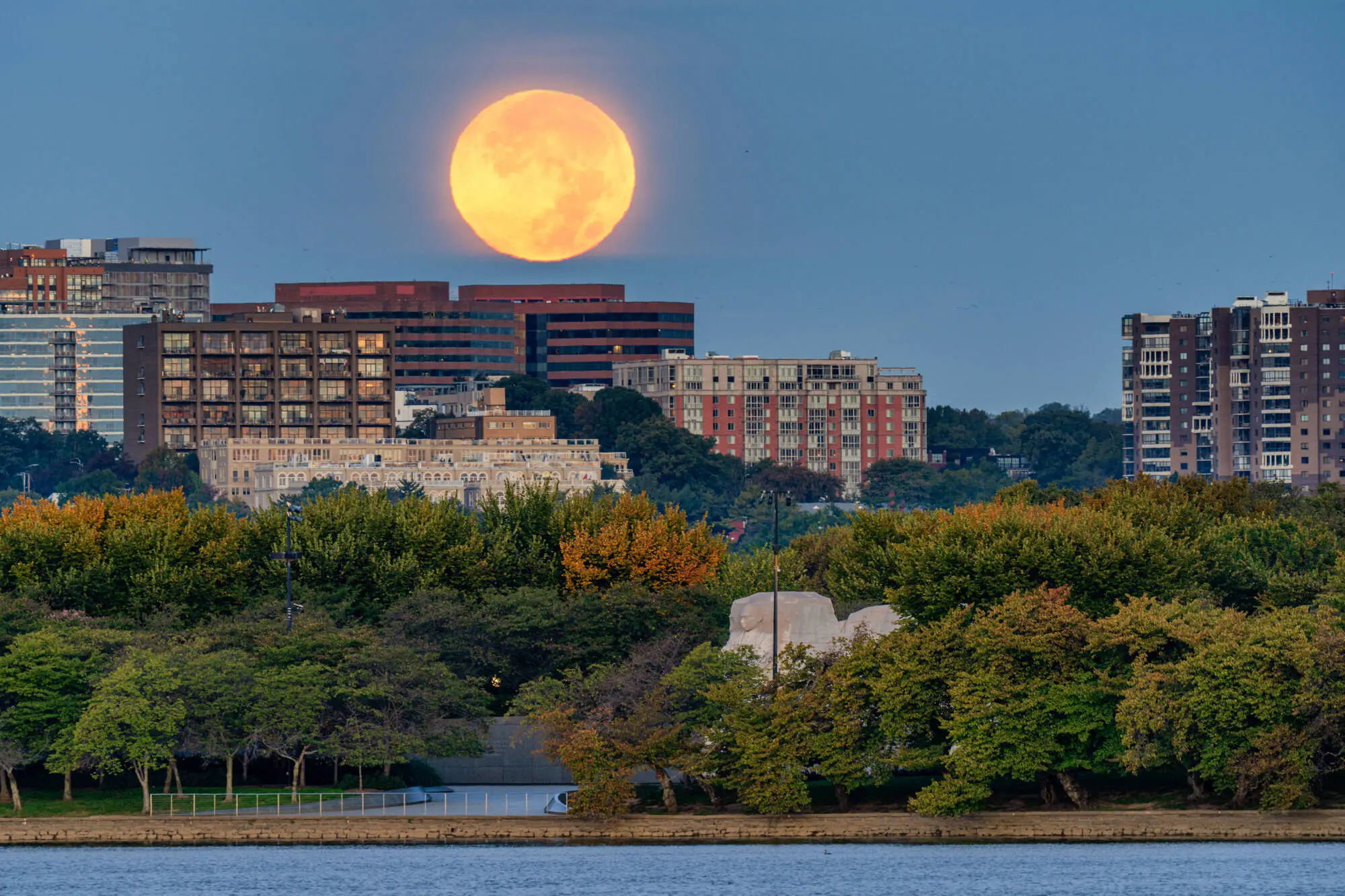WASHINGTON, DC- OCTOBER 17: The Martin Lurther King, Jr. Memorial is seen in the trees turning fall colors as the Hunter's Supermoon sets behind the Arlington, Va. skyline early in the morning on October 17, 2024, in Washington, DC. (Photo by J. David Ake/Getty Images)