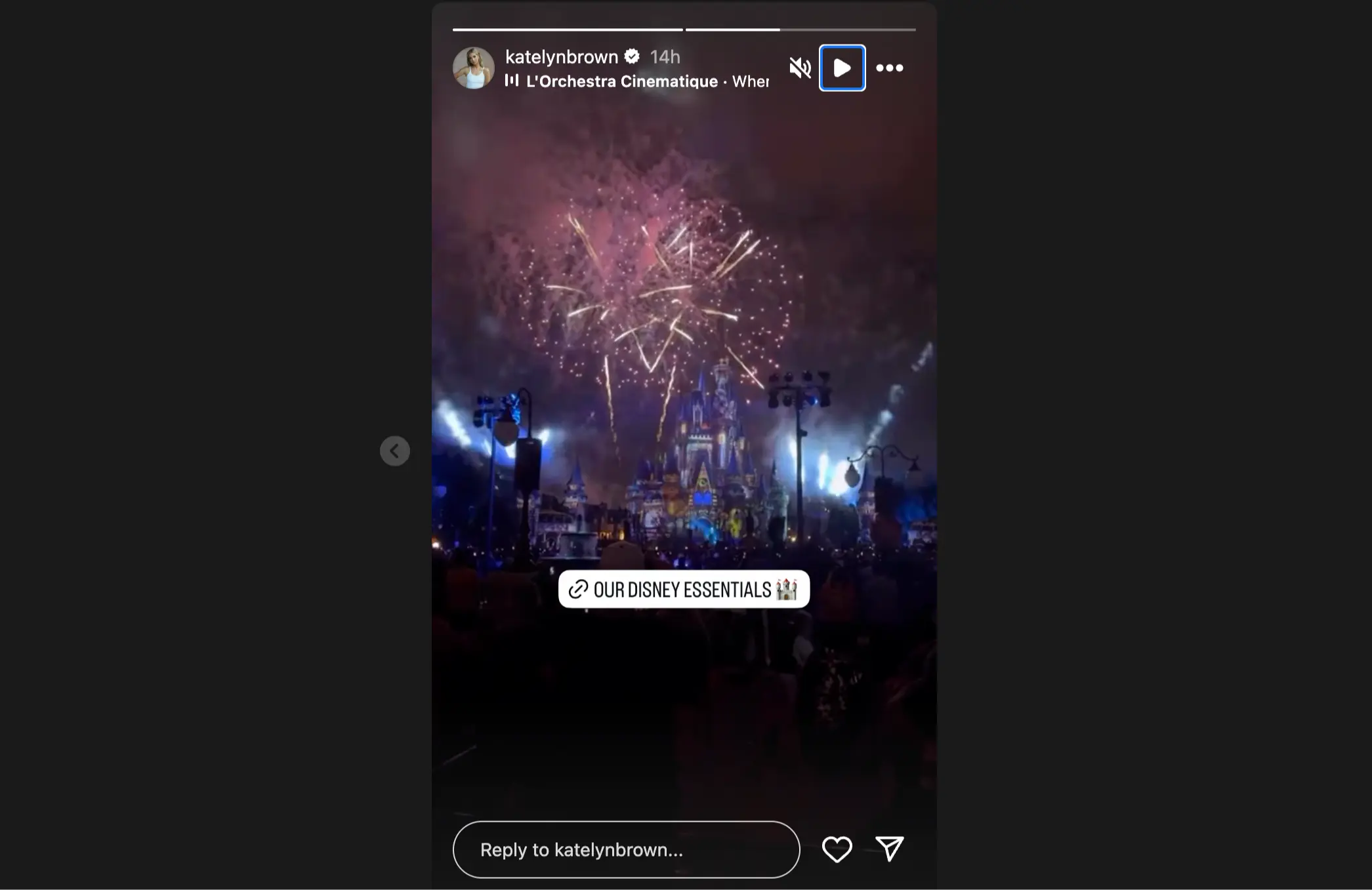 Katelyn Brown posted about a recent Disneyland visit, but didn't address the rumors about Kane (Image via Instagram/katelynbrown)