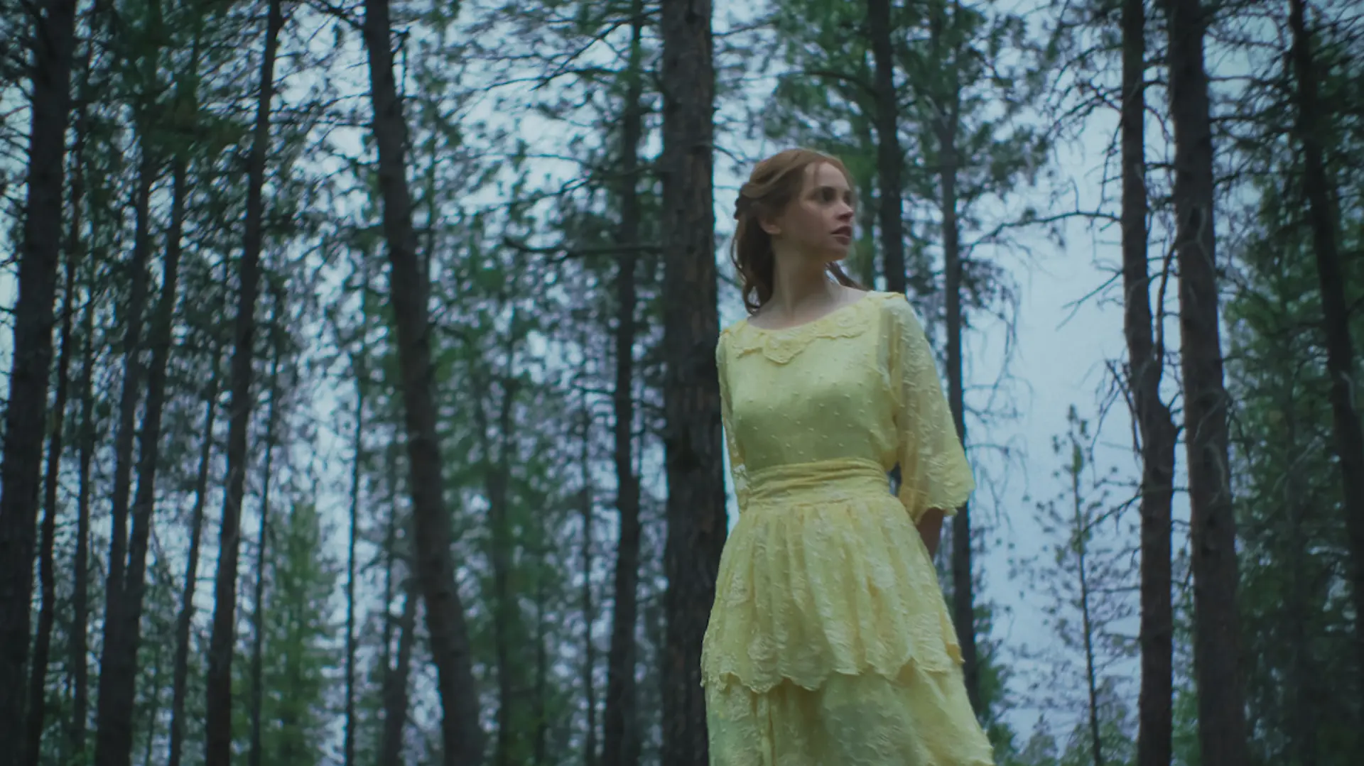 Train Dreams © Netflix