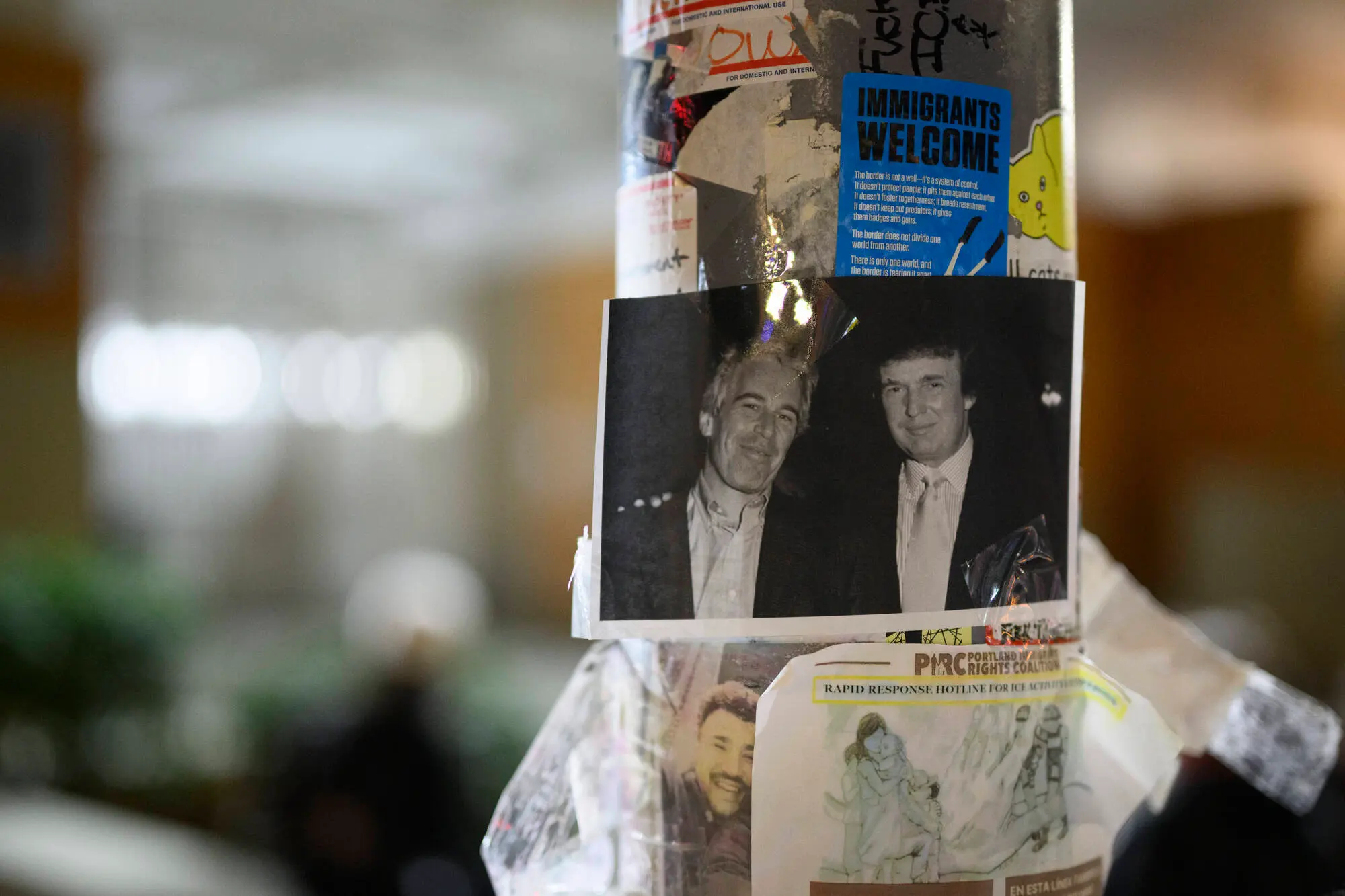 Oversight Democrats raised new questions over alleged Trump-Epstein connection [Representational Image] (Photo by Mathieu Lewis-Rolland/Getty Images)