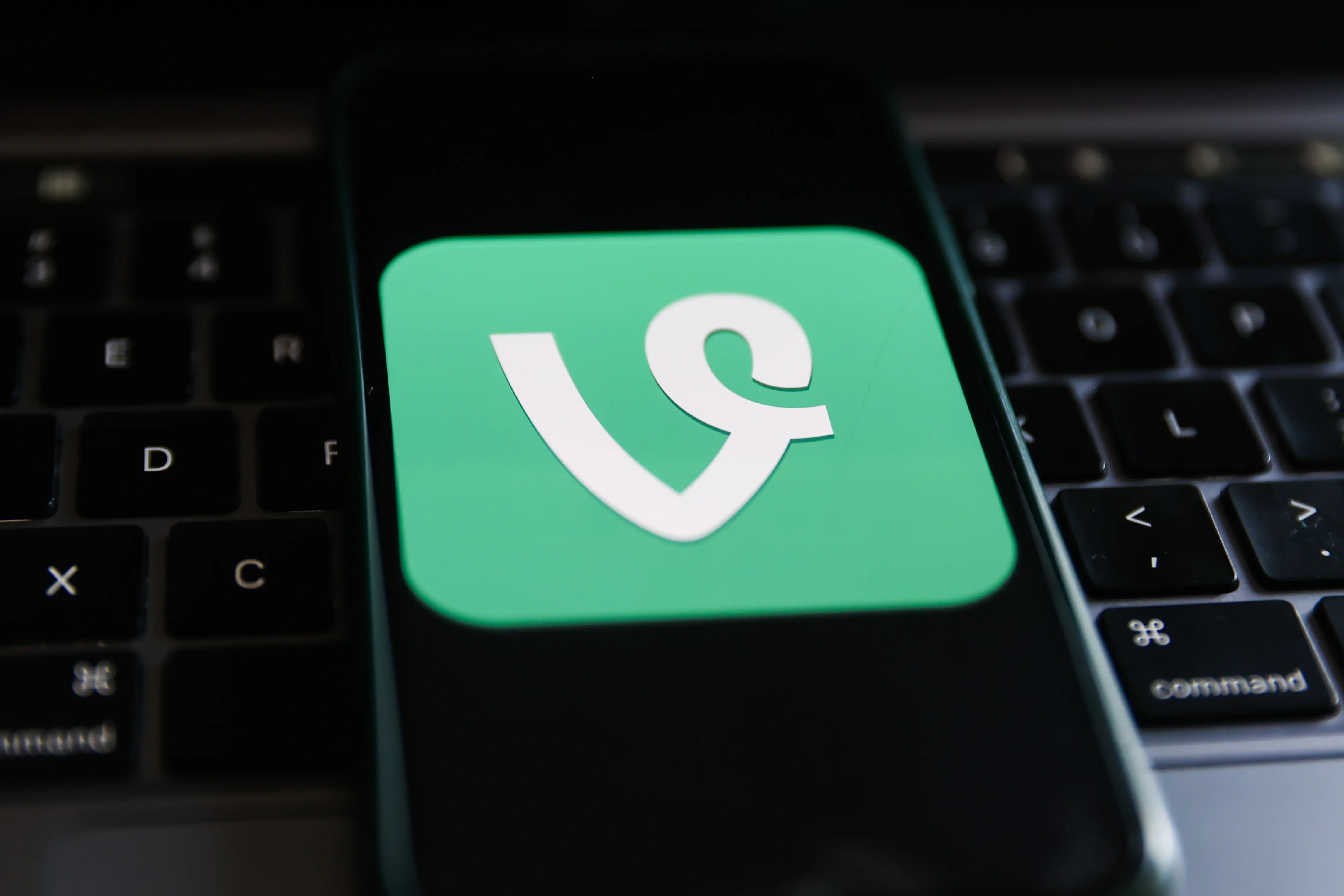 Vine was acquired by Twitter in 2012 (Image via Getty)
