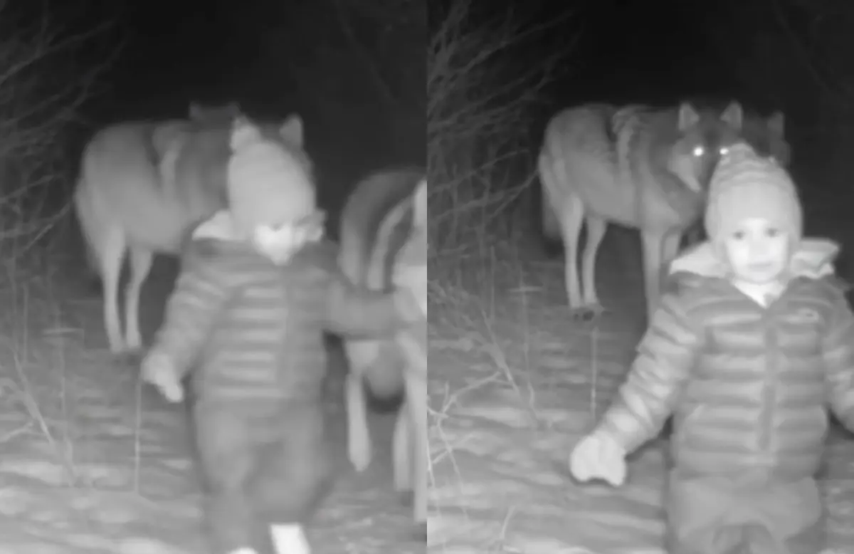 Jacob Riley (Photo: Instagram/@blueridgebreakingnews)