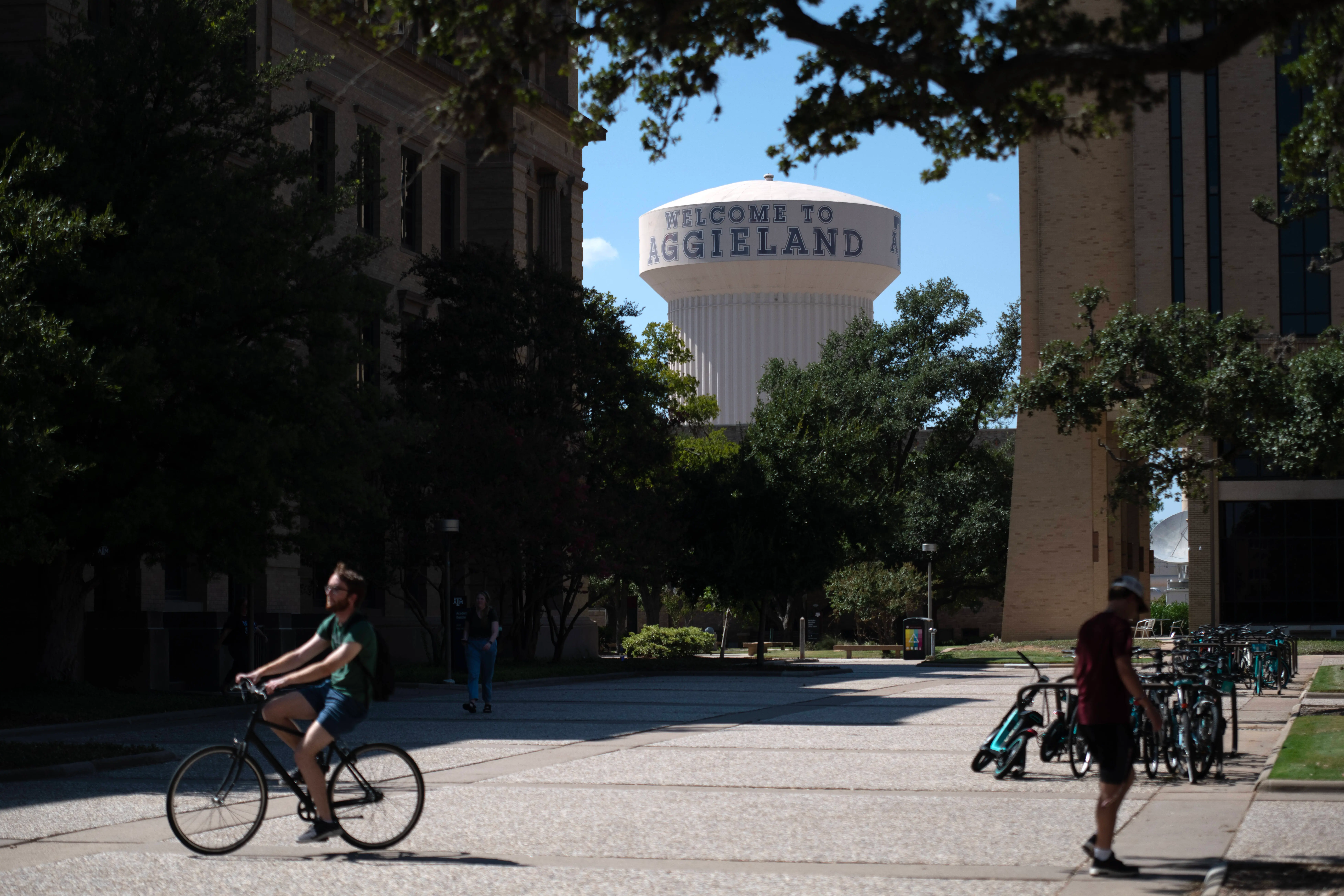 A Texas A&amp;M University student, Brianna Aguilera, was found dead on Saturday, November 29, 2025 [Representational Image] (Photo by Mark Felix for The Washington Post via Getty Images)