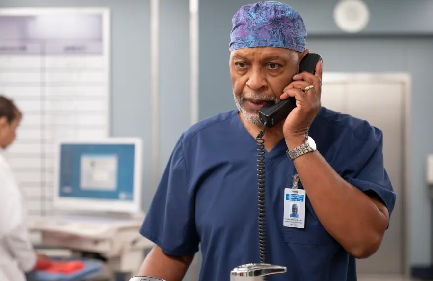 Grey's Anatomy season 22 airs on ABC (Image via Instagram/@greysabc)