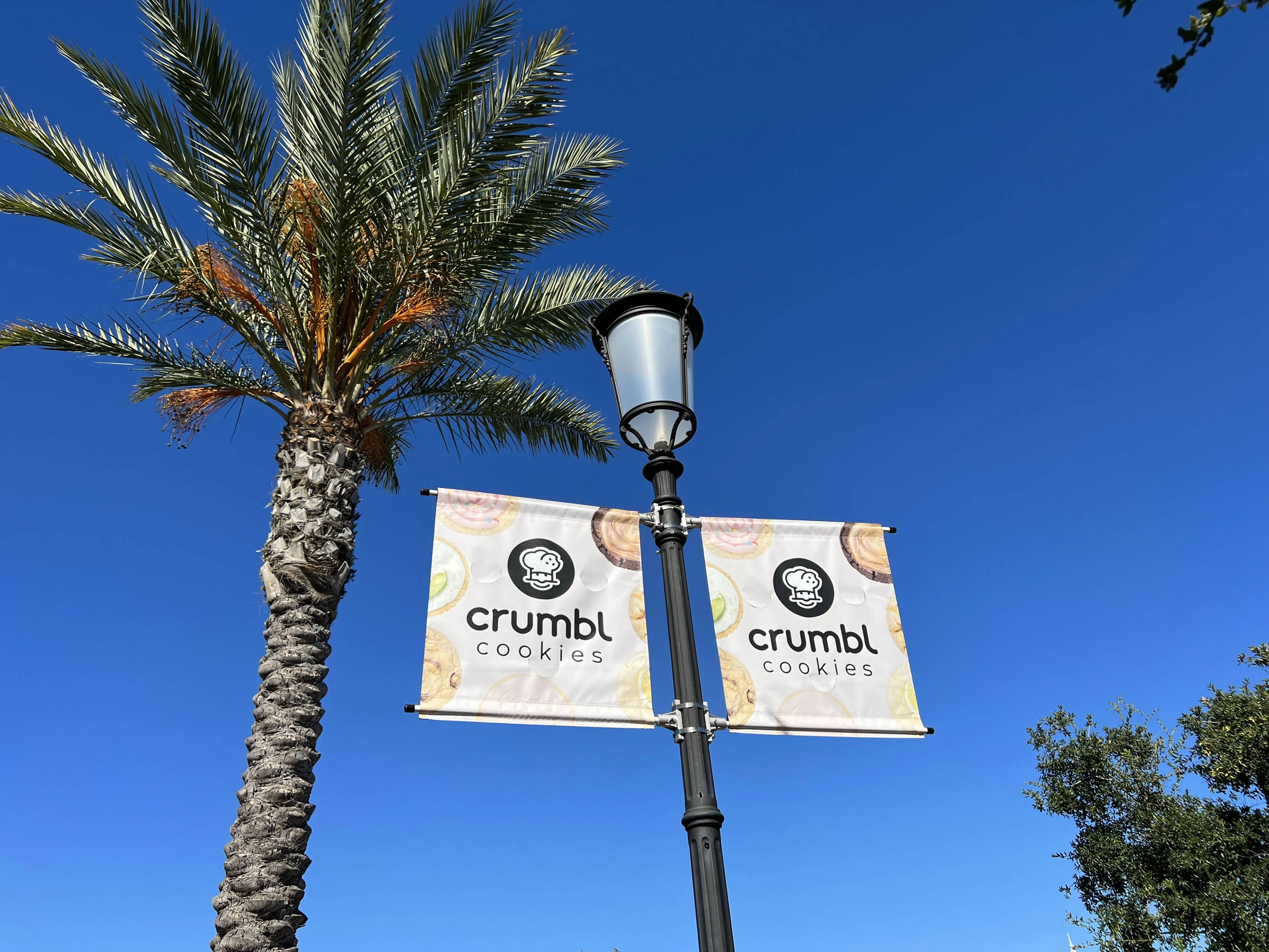Signs for Crumbl cookies beside a palm tree at Veranda shopping center in Concord, California, July 19, 2022. Photo courtesy Sftm. (Photo by Gado/Getty Images)