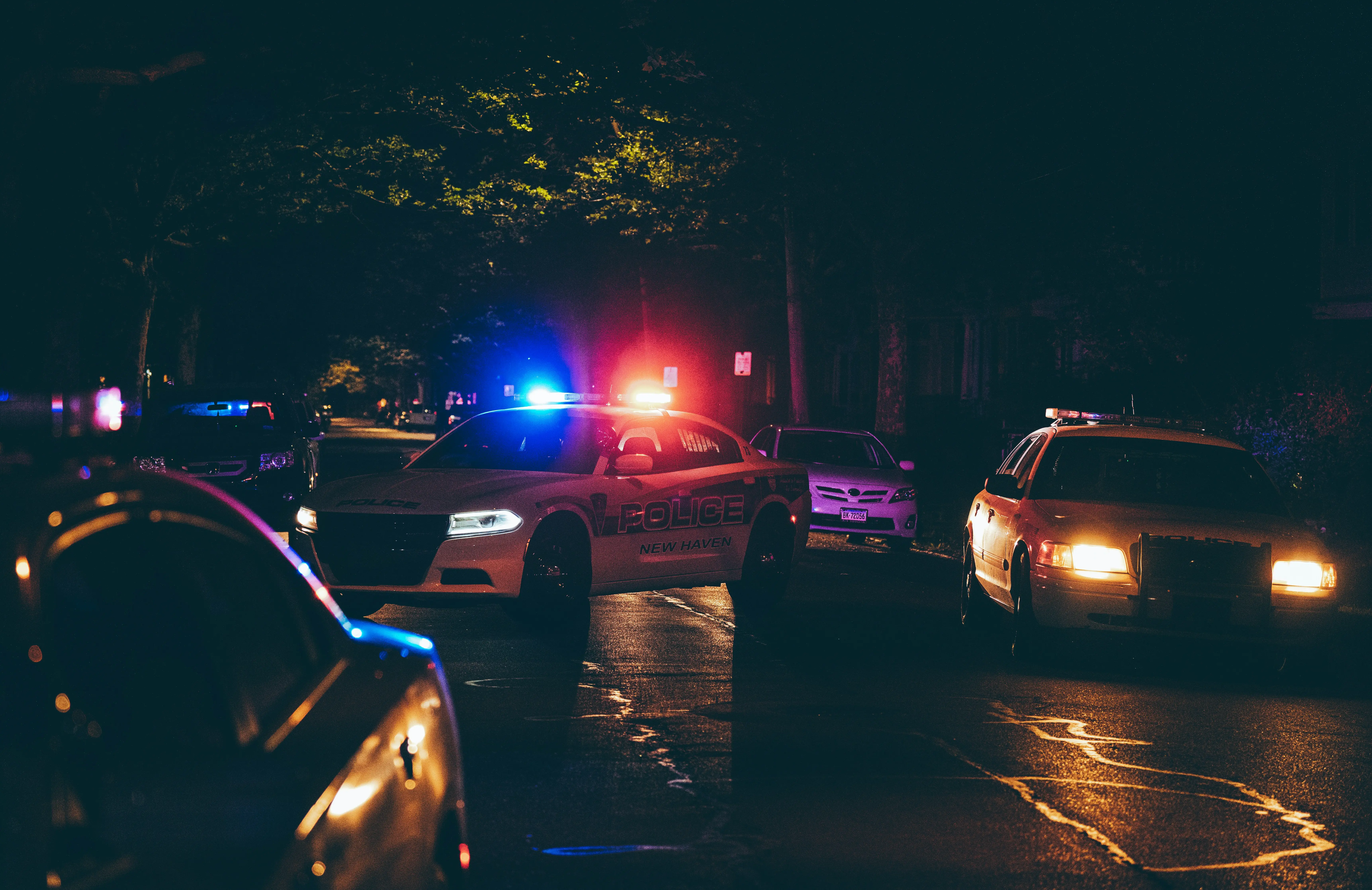 Navajo County Sheriff's Office detectives conducted a raid on Mike Abatti's residence in El Centro [Representational Image] (Photo by Martin Podsiad on Unsplash)