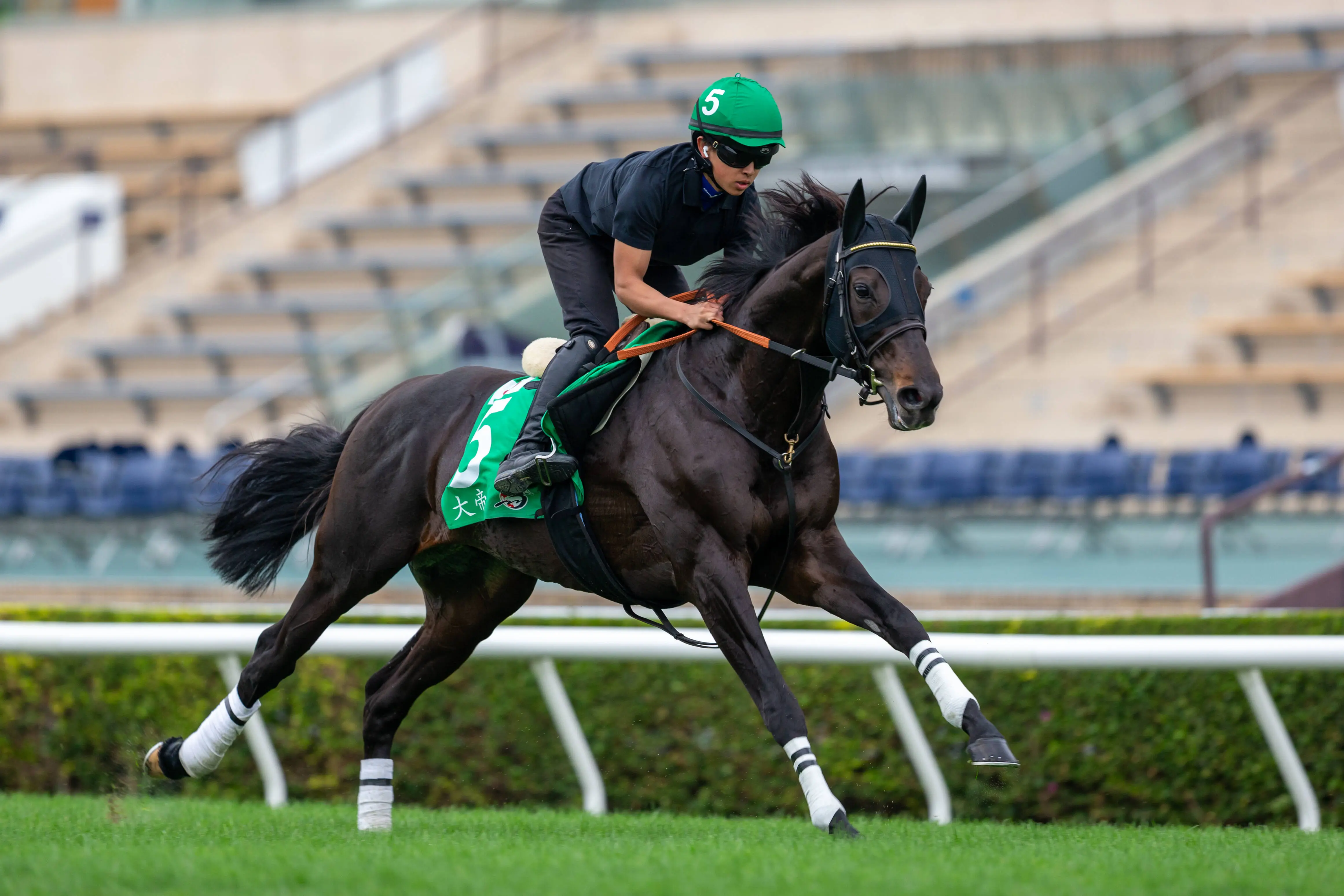 HONG KONG, CHINA - DECEMBER 6: Koji Nishizuka riding Shahryar exercises at Sha Tin Racecourse on December 6, 2023 in Hong Kong, China. (Photo by Lo Chun Kit/Getty Images)