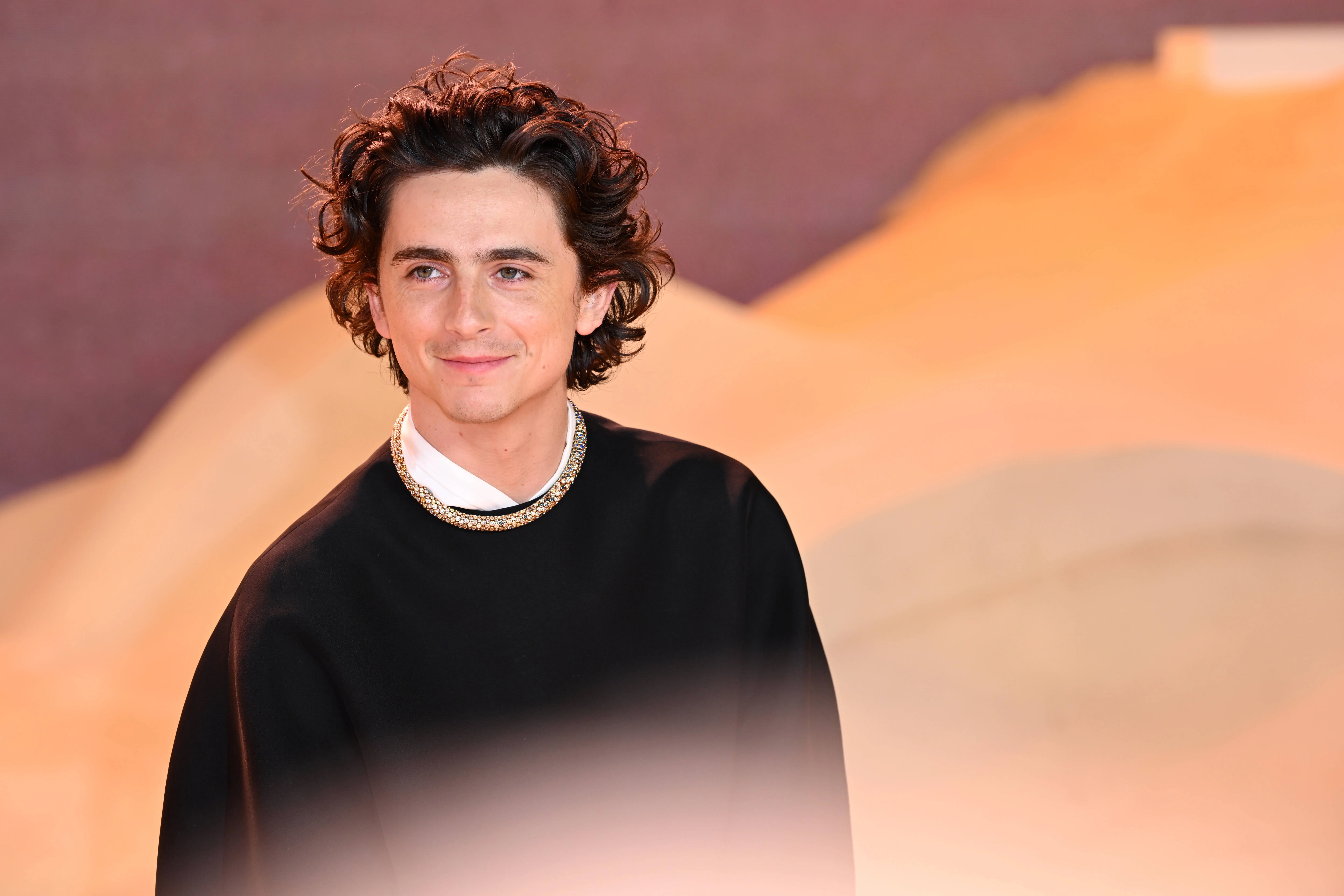 LONDON, ENGLAND - FEBRUARY 15: Timothée Chalamet attends the World Premiere of "Dune: Part Two" in Leicester Square on February 15, 2024 in London, England. (Photo by Joe Maher/Getty Images)