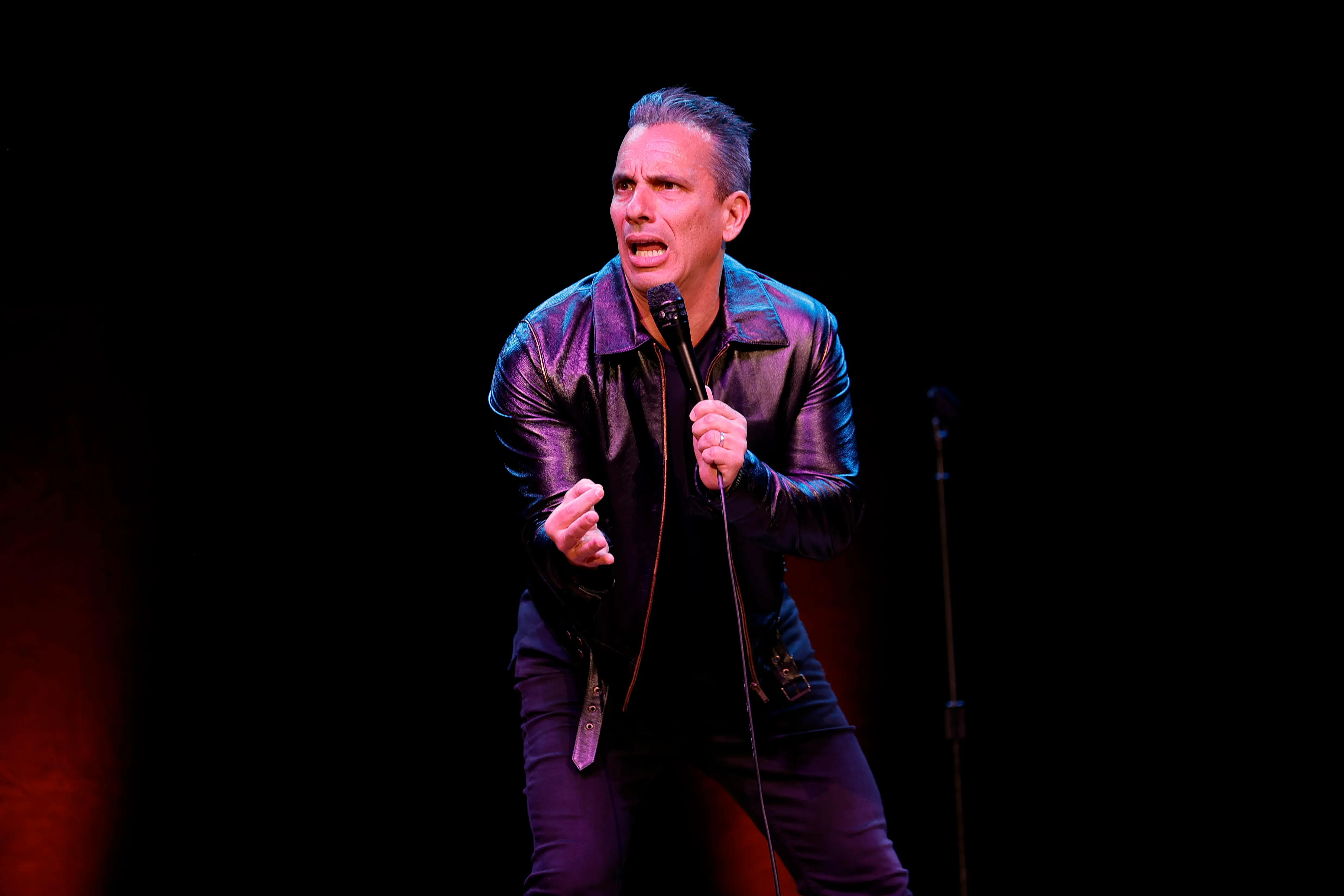 Sebastian Maniscalco (Image via Getty)
