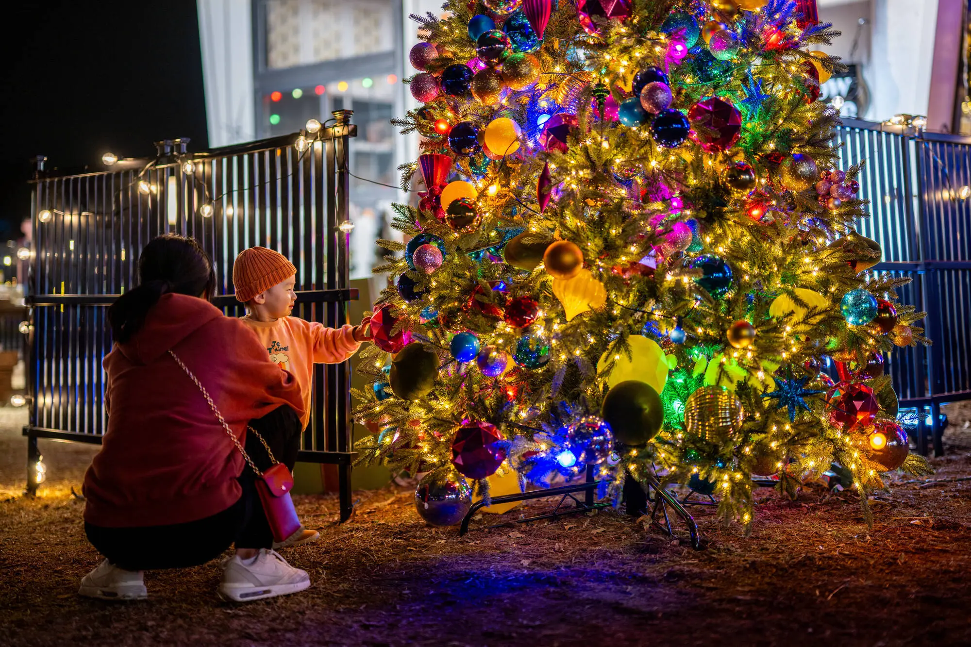 AUSTIN, TEXAS - DECEMBER 14: A family spends time together near a Christmas tree during the Austin Trail of Lights festival at Zilker Metropolitan Park on December 14, 2023 in Austin, Texas. Community members came out to participate in this year's 59th annual Austin Trail of Lights festival. (Photo by Brandon Bell/Getty Images)