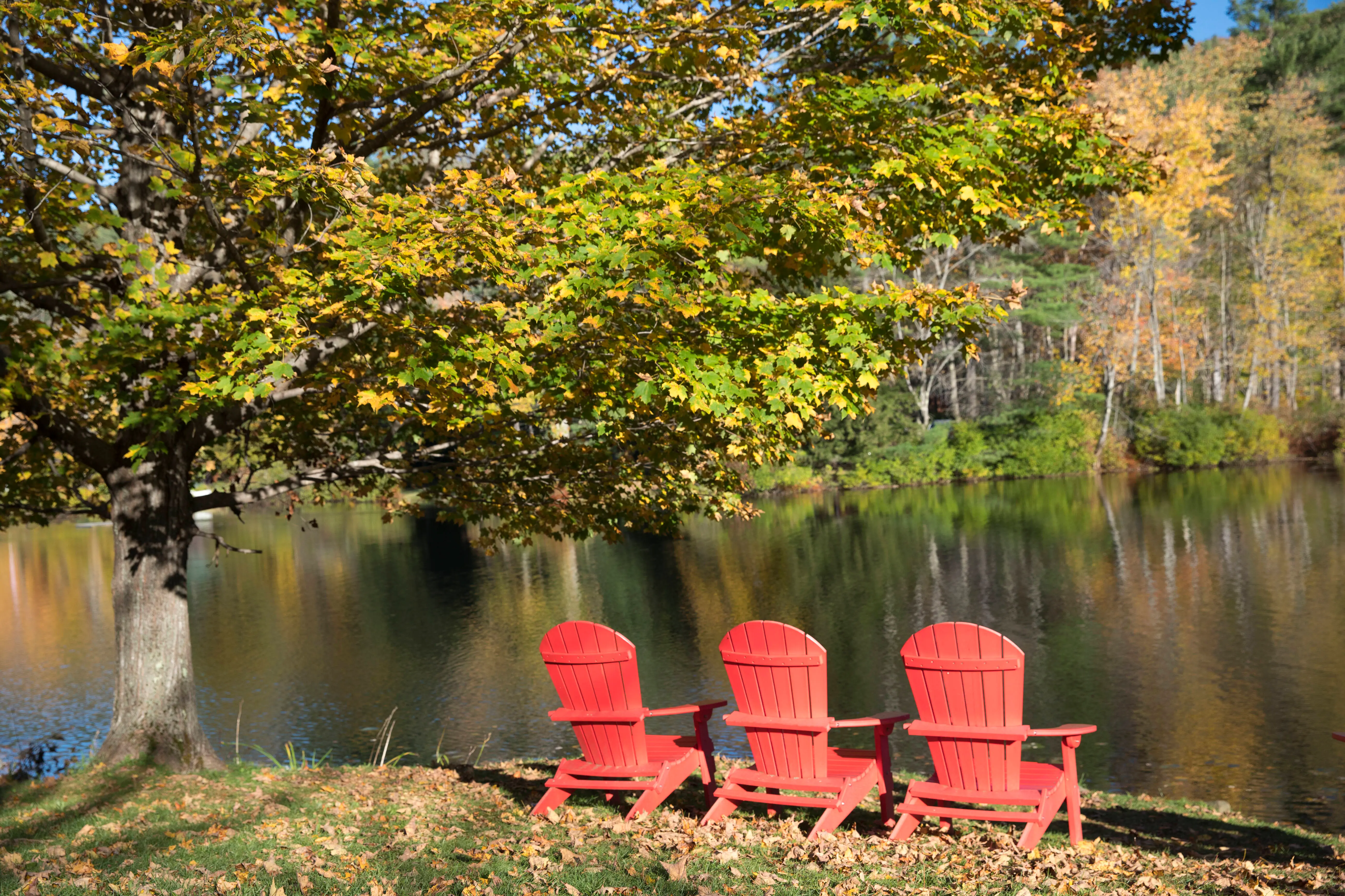 Eric Langford allegedly went missing in the Adirondack forests in 1989 and was found in 2001 (representative image).  (Photo by Tim Graham/Getty Images)