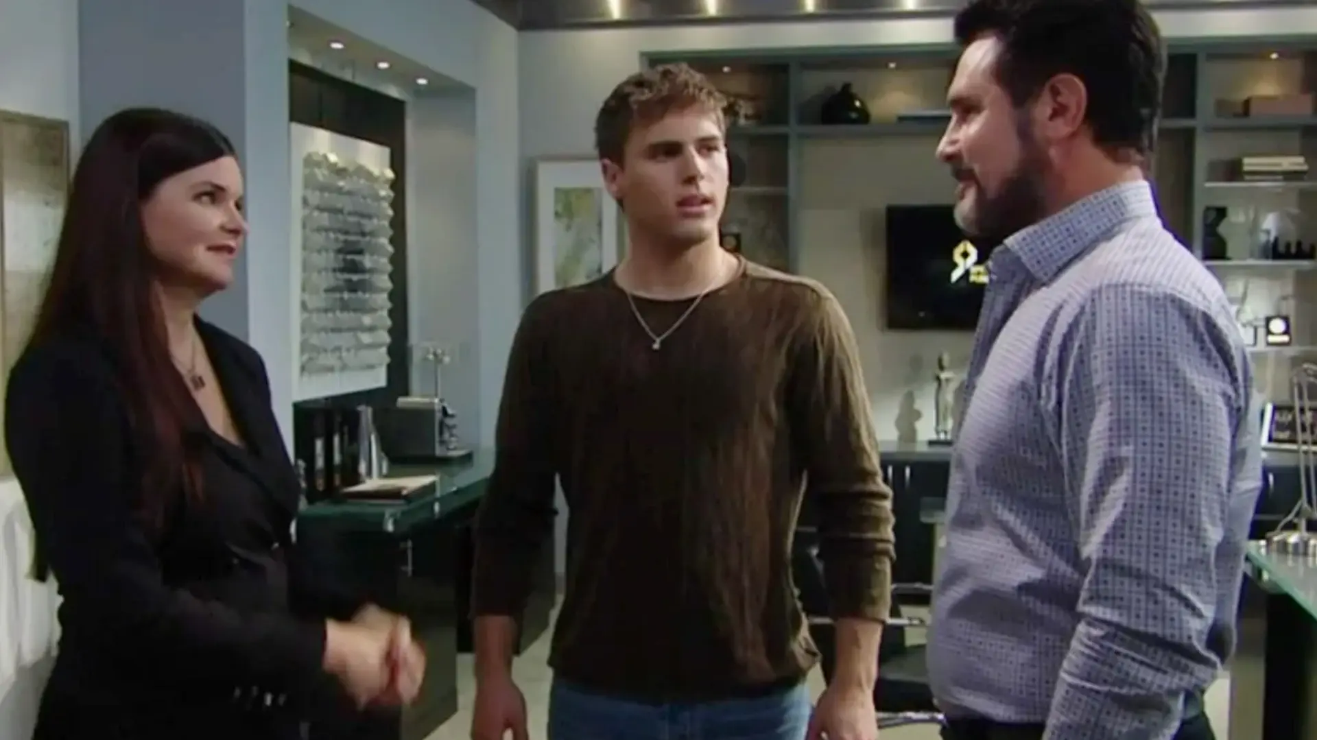 The Bold and the Beautiful © CBS