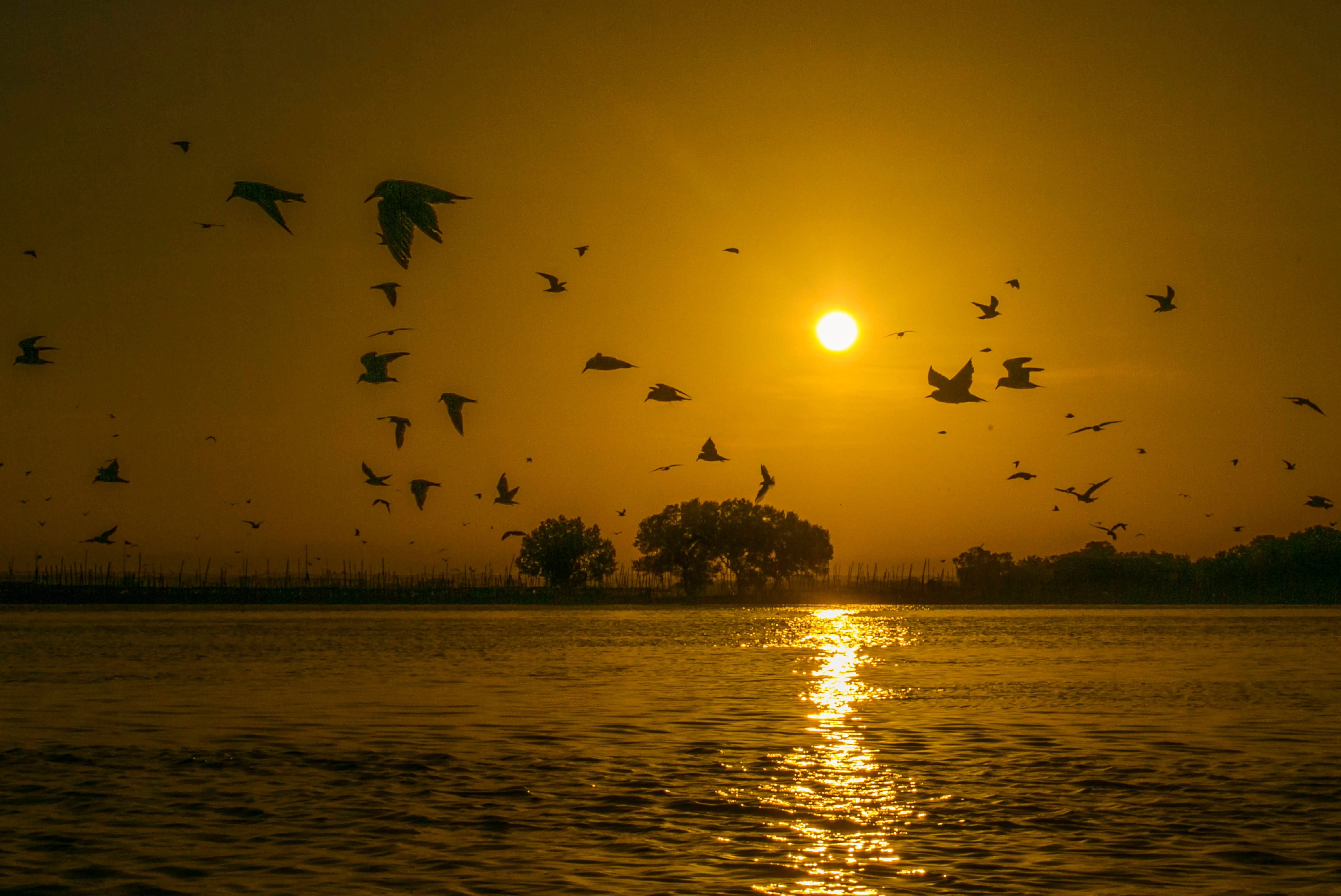Maria Catalina Cabral's dead body was found near the Bued River (representative image). (Photo by Jes Aznar/Getty Images)