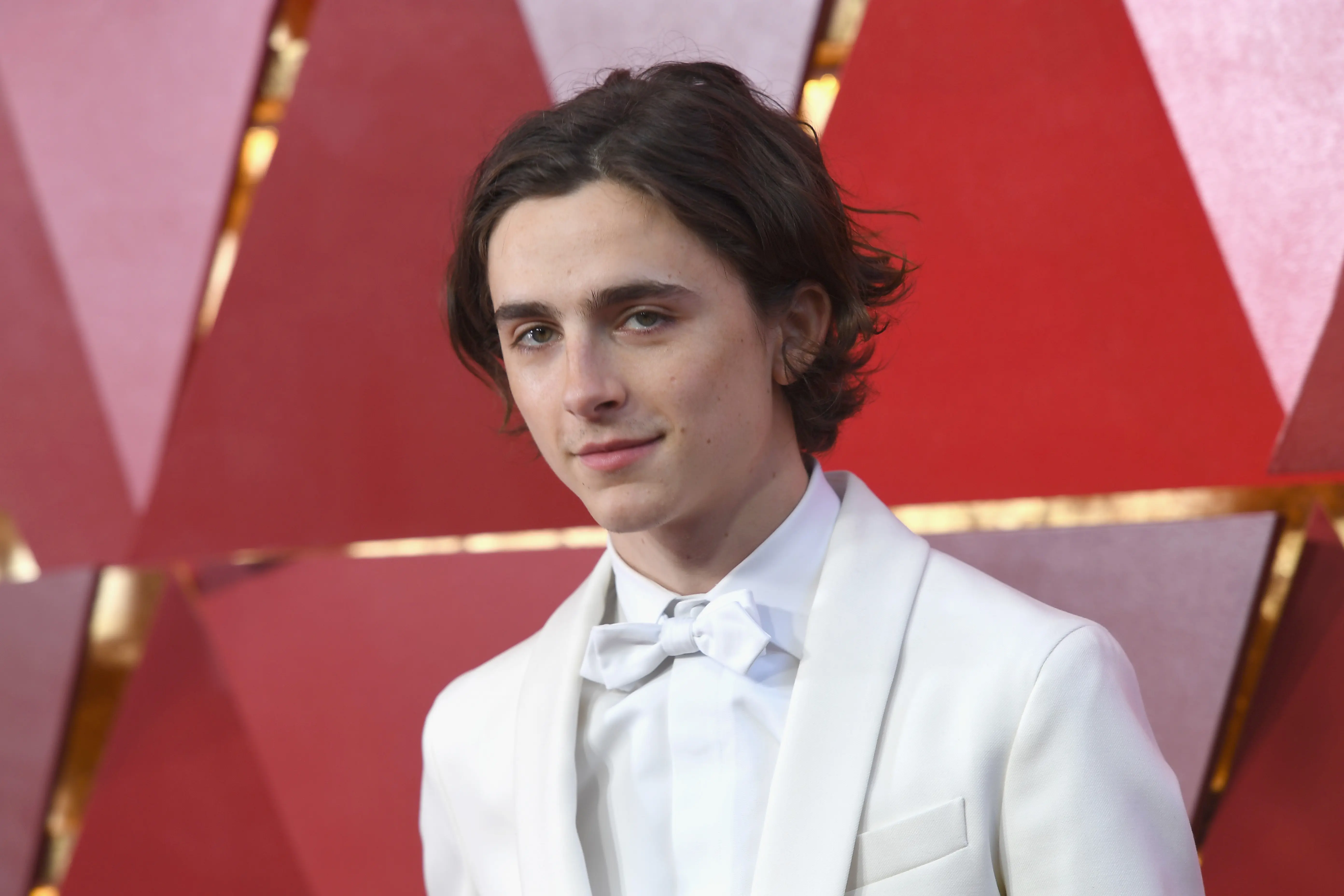 HOLLYWOOD, CA - MARCH 04:  Timothee Chalamet attends the 90th Annual Academy Awards at Hollywood & Highland Center on March 4, 2018 in Hollywood, California.  (Photo by Kevork Djansezian/Getty Images)