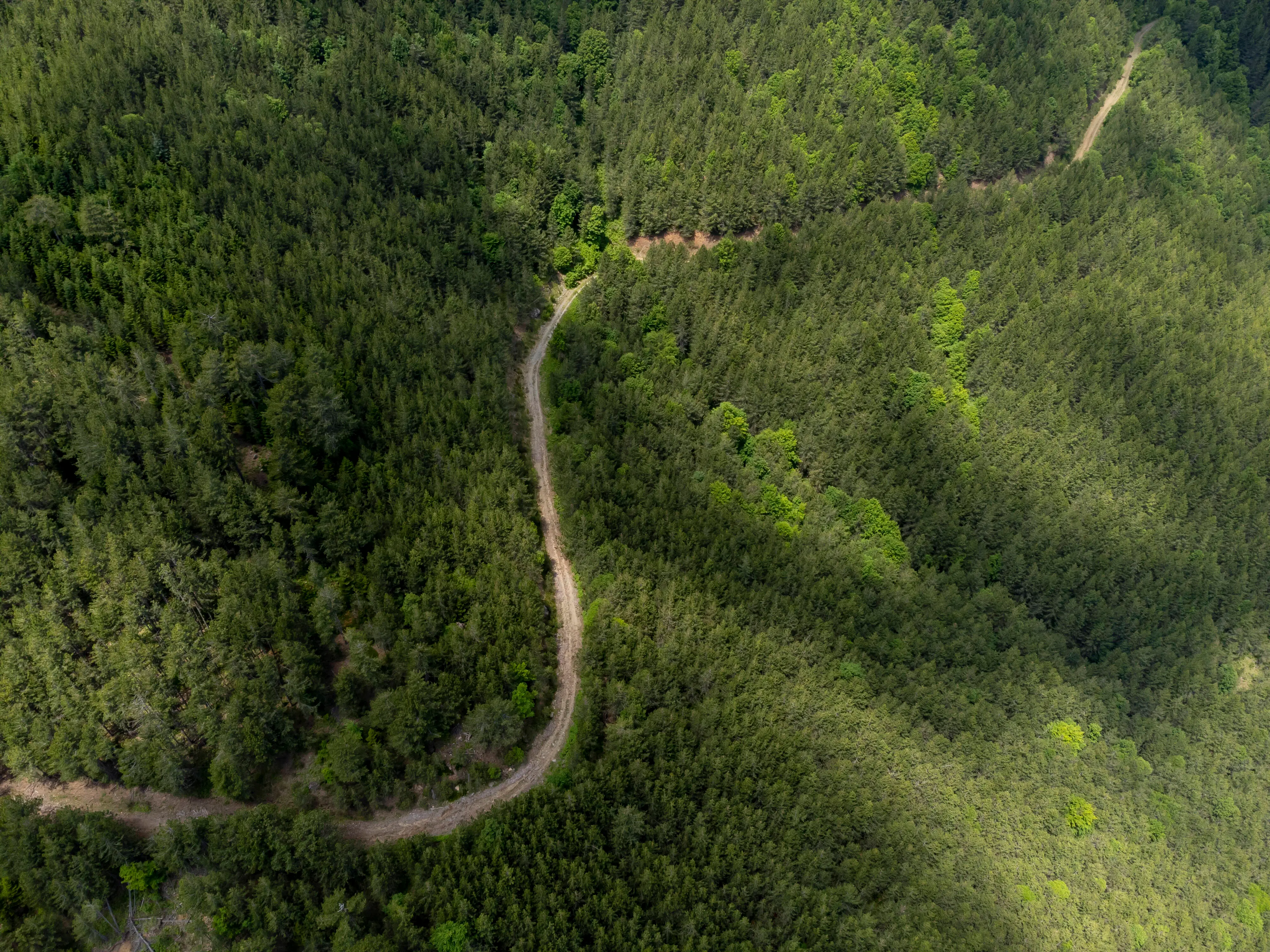  Aerial view of Dirt road in Pindus National Park, Greece (Image via Getty)