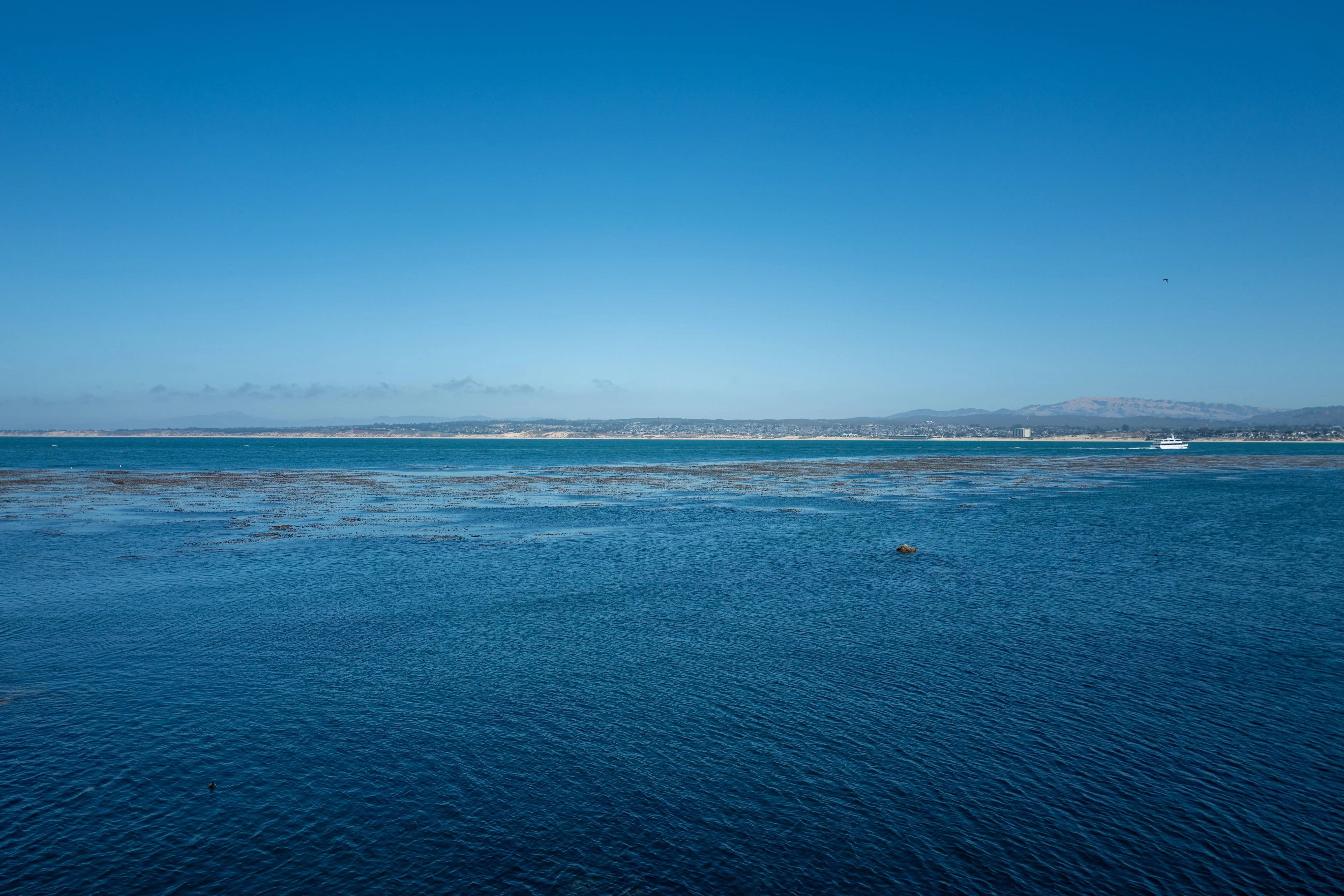 A swimmer went missing off Lovers Point in Monterey County, California [Representational Image] (Photo by Smith Collection/Gado/Getty Images)