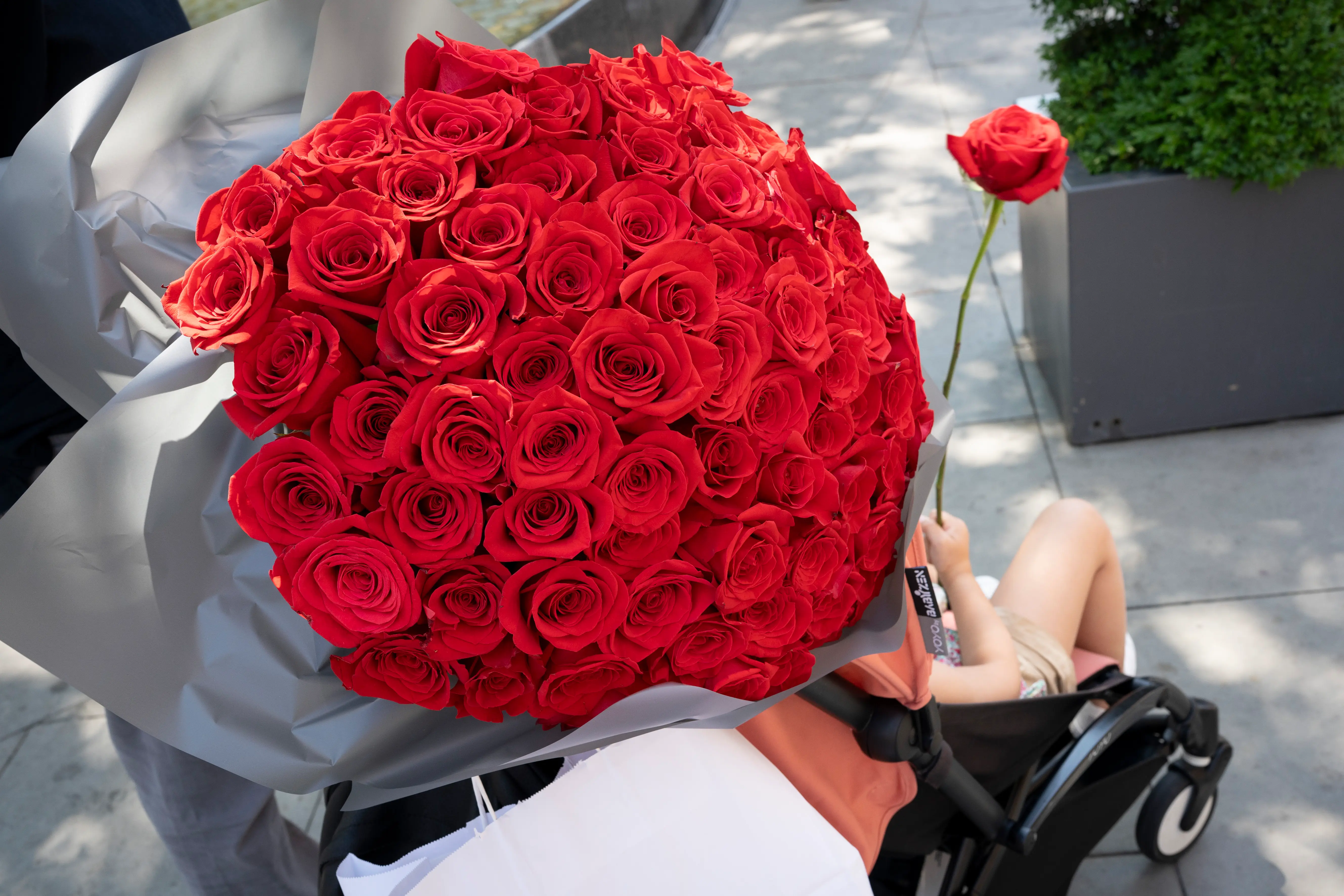 Why Is Valentine s Day Celebrated Popular Traditions History And More why-is-valentine-s-day-celebrated-popular-traditions-history-and-more