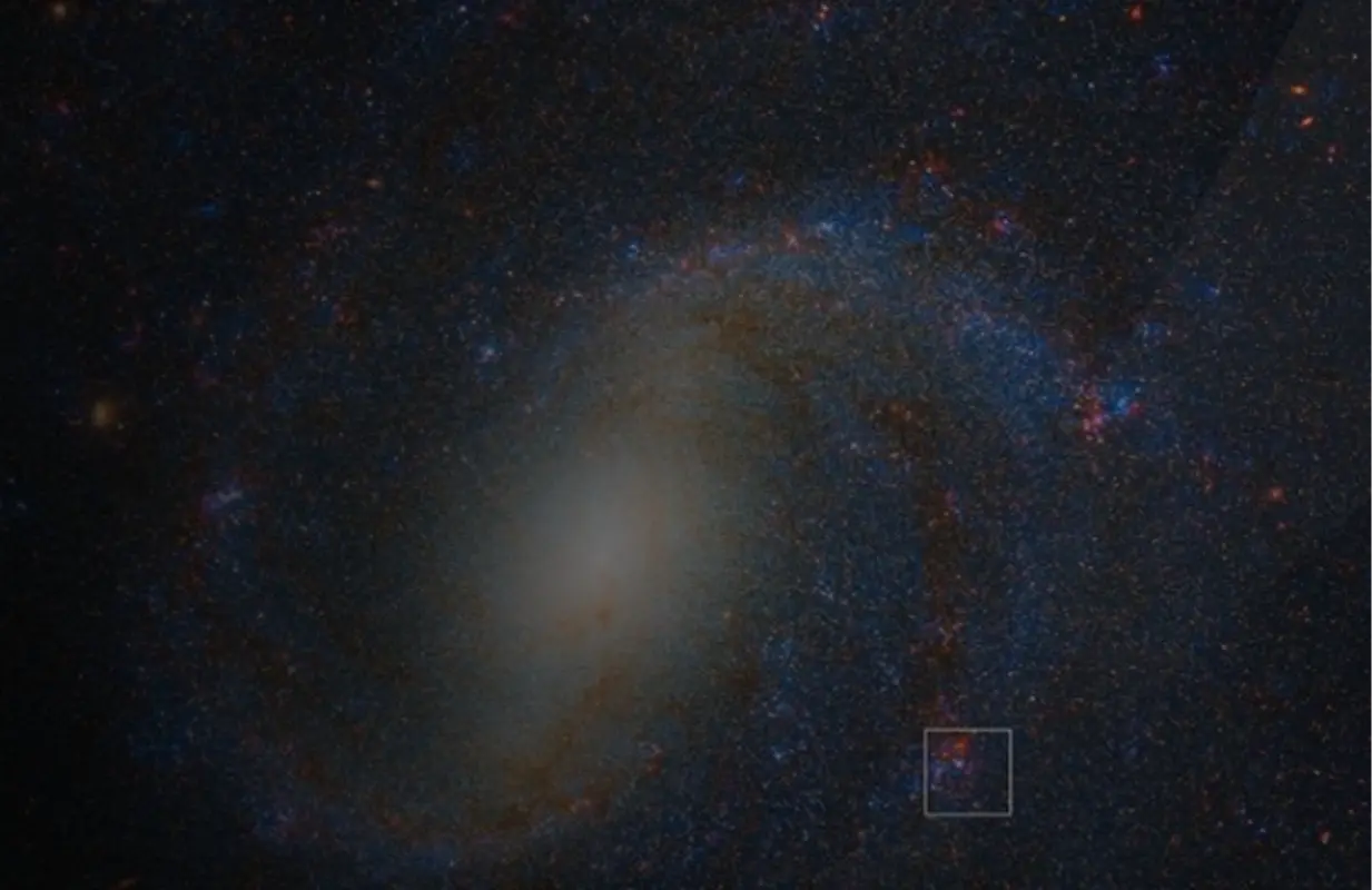 Image at left shows a combined Webb and Hubble view of spiral galaxy NGC 1637. (Image via NASA)