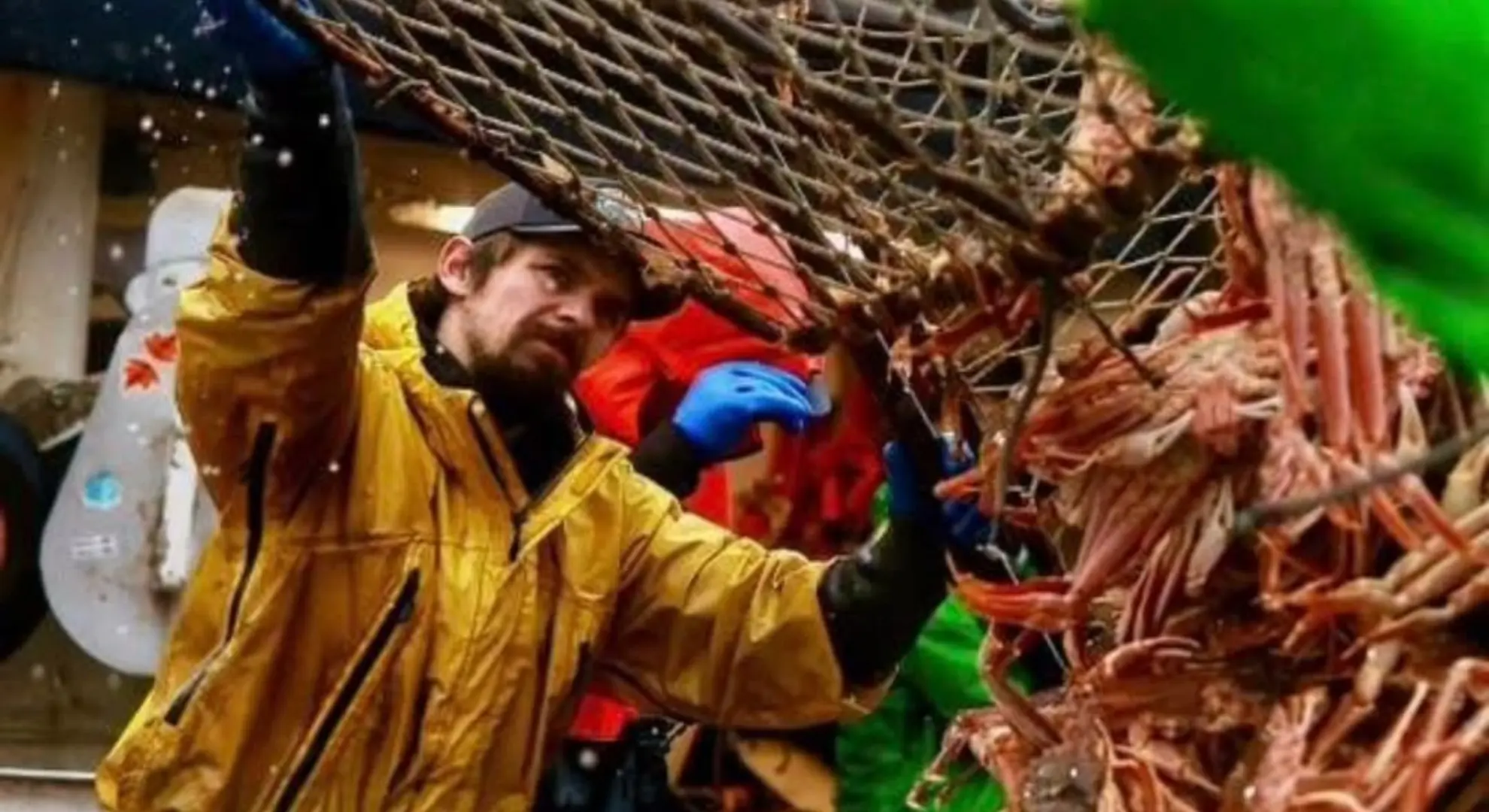 Deadliest Catch deckhand Todd Meadows dies at 25 in Bering Sea tragedy -  PRIMETIMER