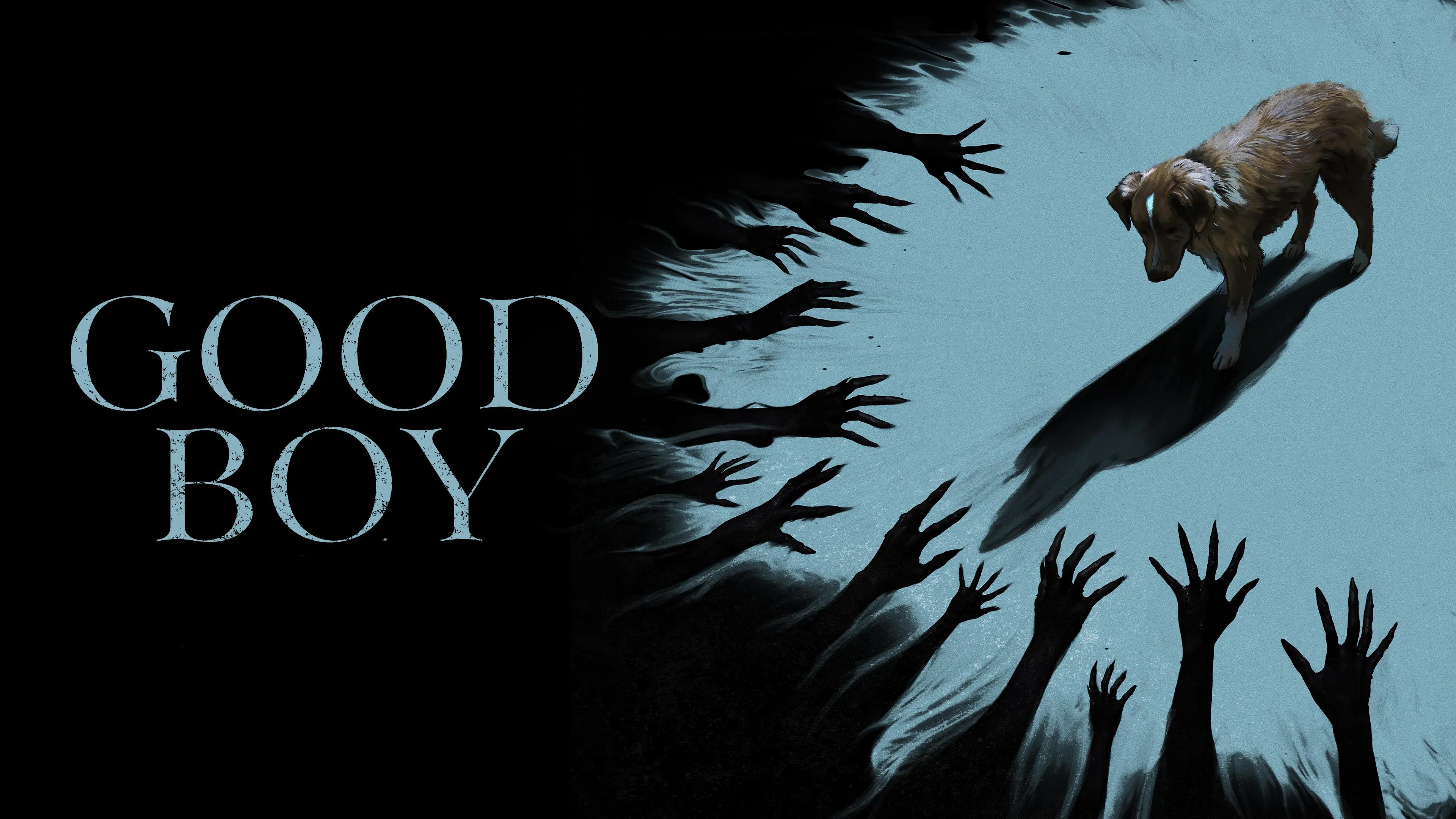When Will Good Boy 2025 Be Released On Hulu Release Date And when-will-good-boy-2025-be-released-on-hulu-release-date-and