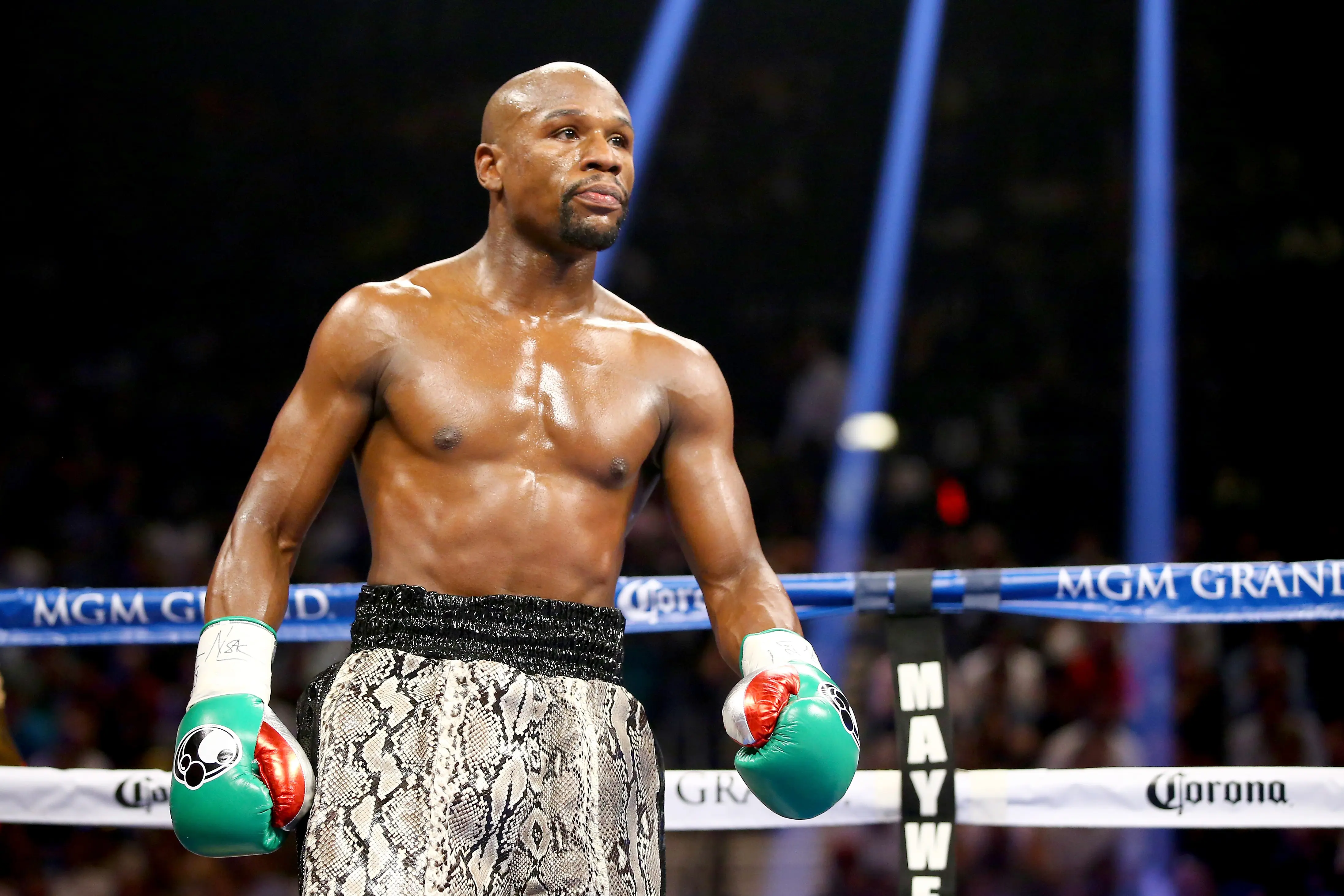 Beautiful Floyd Mayweather Faces Theft Charges For Using Bad Cheque To Buy A Watch Landscape Digital Art Beautiful Floyd Mayweather Faces Theft Charges For Using Bad Cheque To Buy A Watch Landscape Digital Art