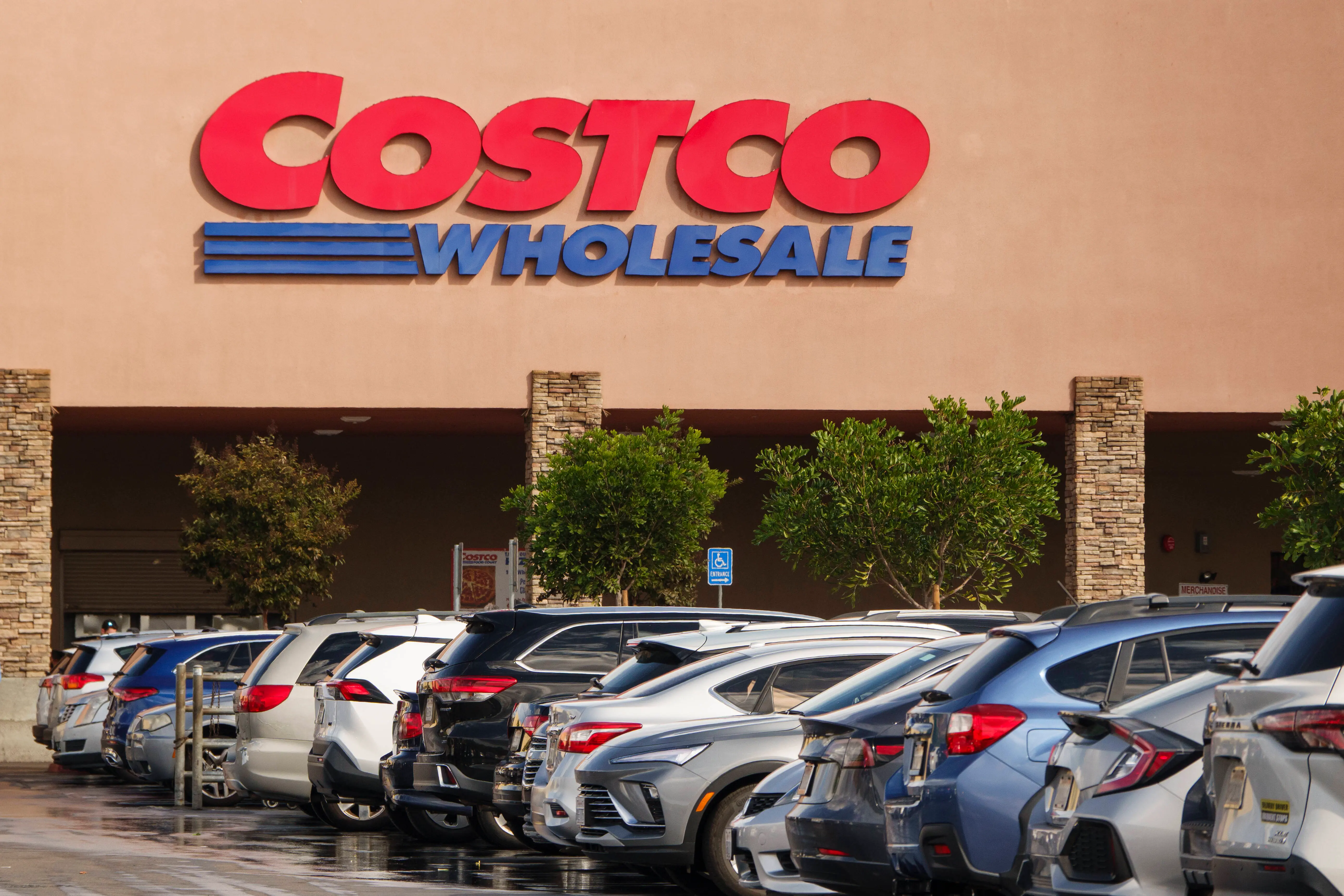 Costco introduces Lemon Blondie Dessert Bars: Everything we know ...