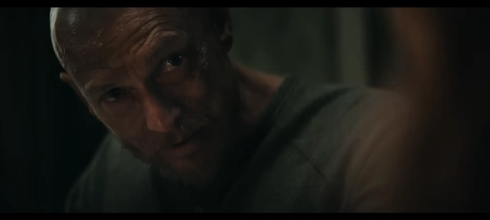 How to watch the Evil Dead franchise in order?