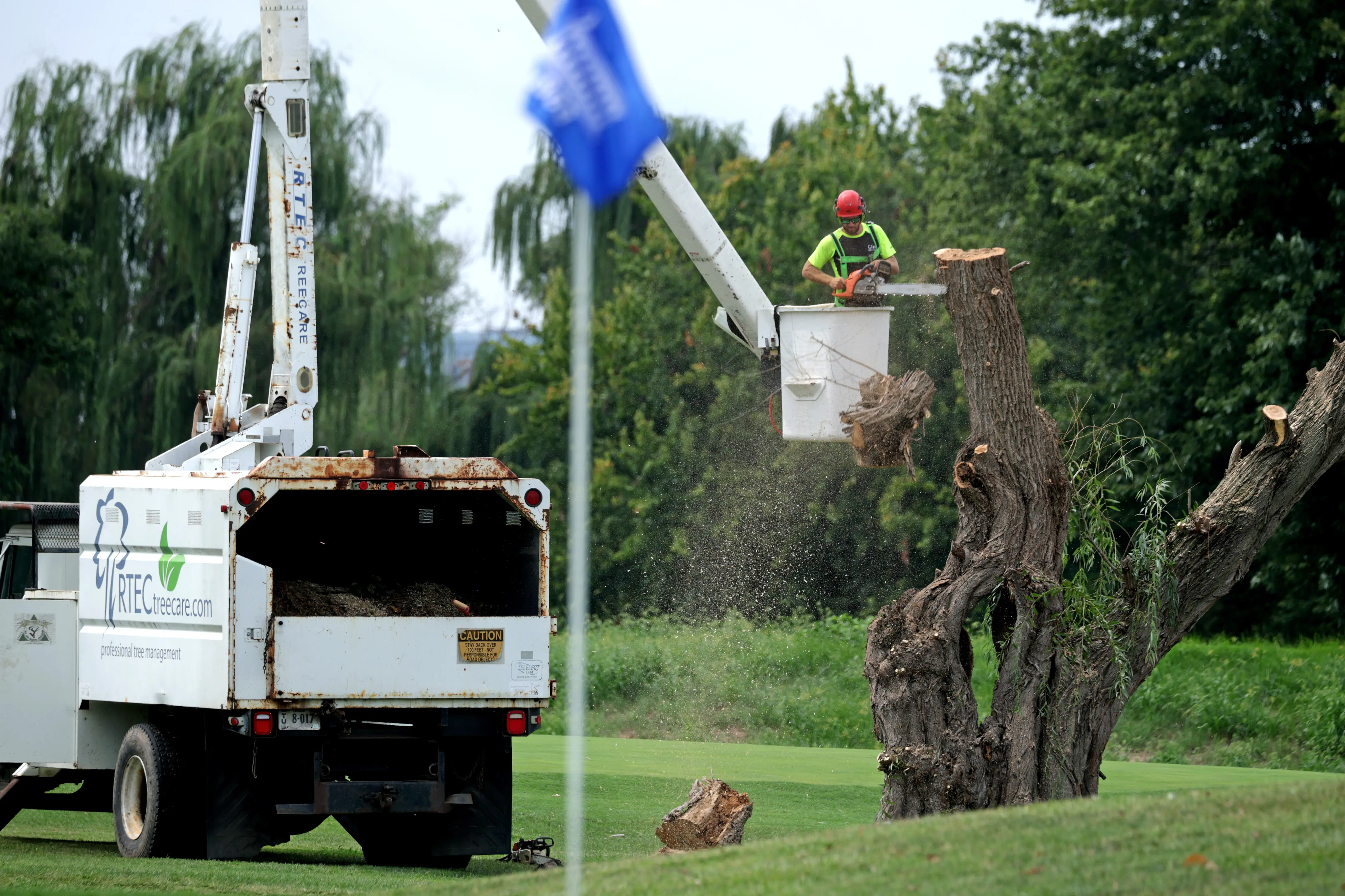 “I do not speak for the trees”: Judge Ana Reyes speaks out against ...