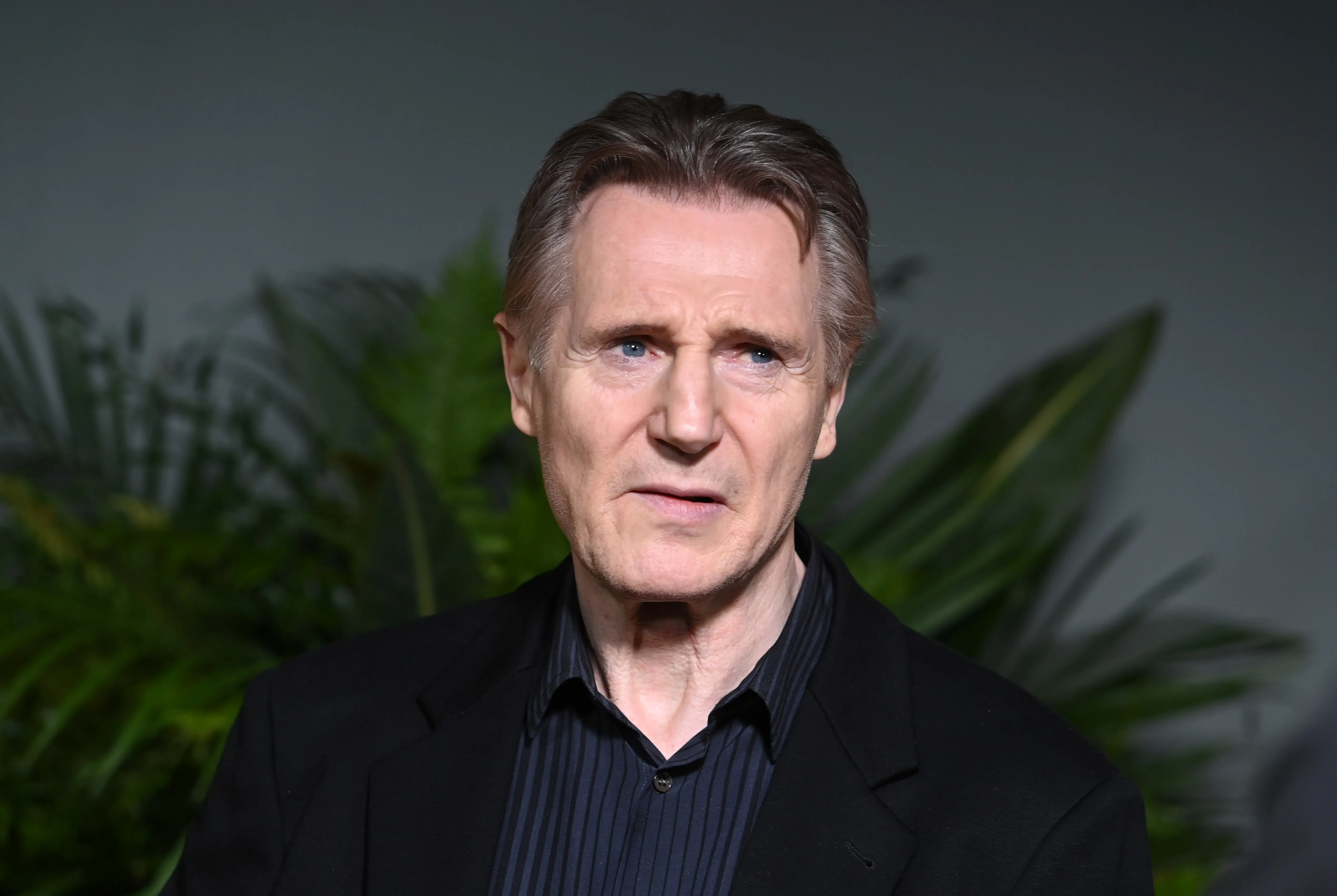 What is Liam Neeson's The Fix all about? All you need to know before the film debuts