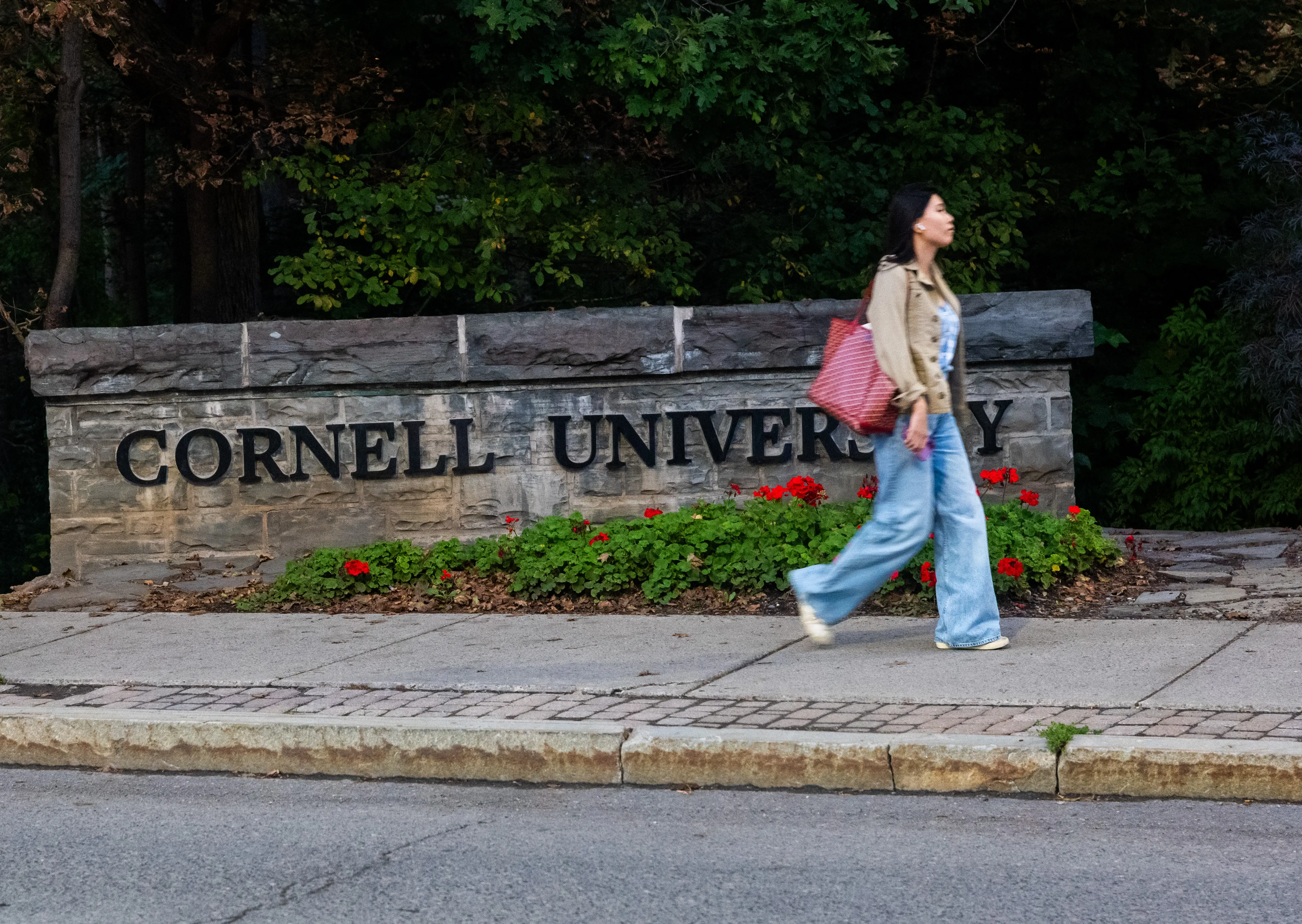 Link Lauren says Jane Doe in Cornell 7 case 