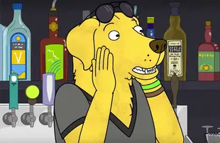 Mr. Peanutbutter in Bojack Horseman (Netflix)