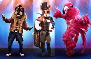 Rottweiler, Fox and Flamingo are the three finalists this season on The Masked Singer. (Fox)