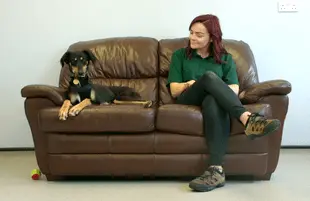 The Dog House: UK (HBO Max)