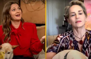 Sharon Stone on The Drew Barrymore Show