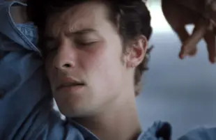 Shawn Mendes: In Wonder (Netflix)